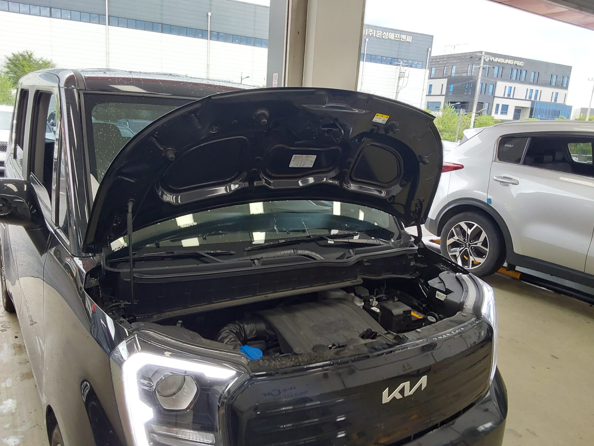 2024 - kia ray