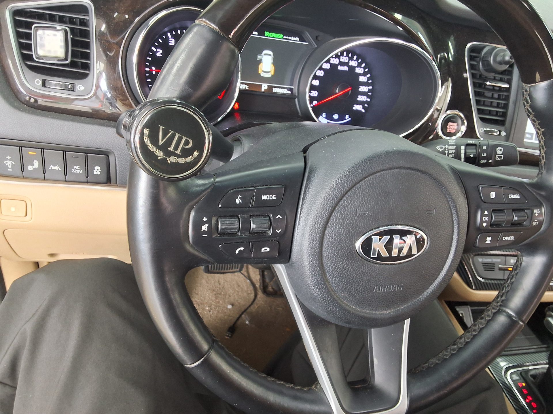 2019 - kia carnival