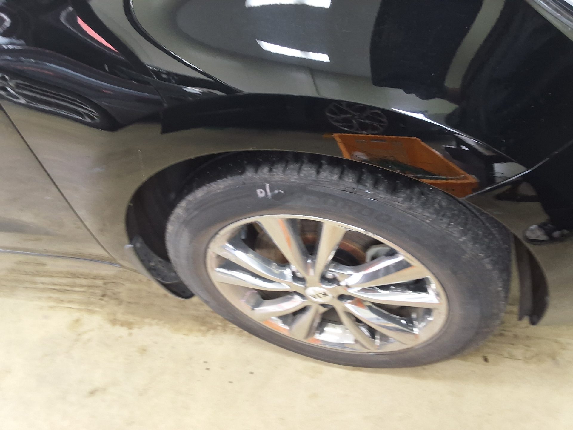 2019 - kia carnival