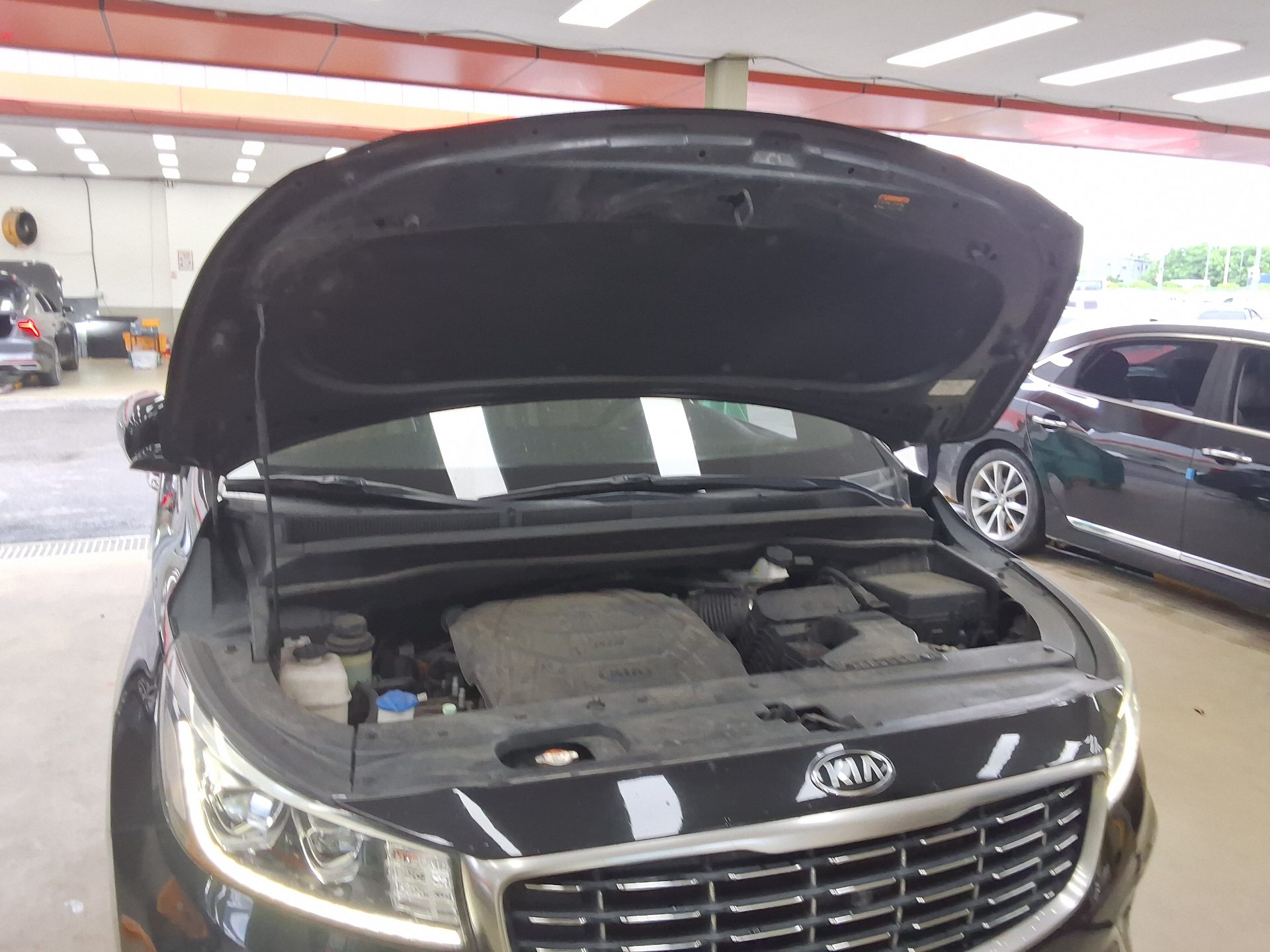 2019 - kia carnival