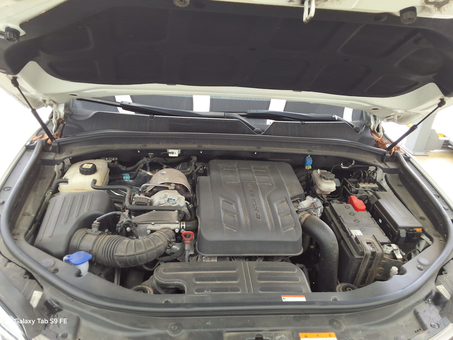 2024 - ssangyong rexton