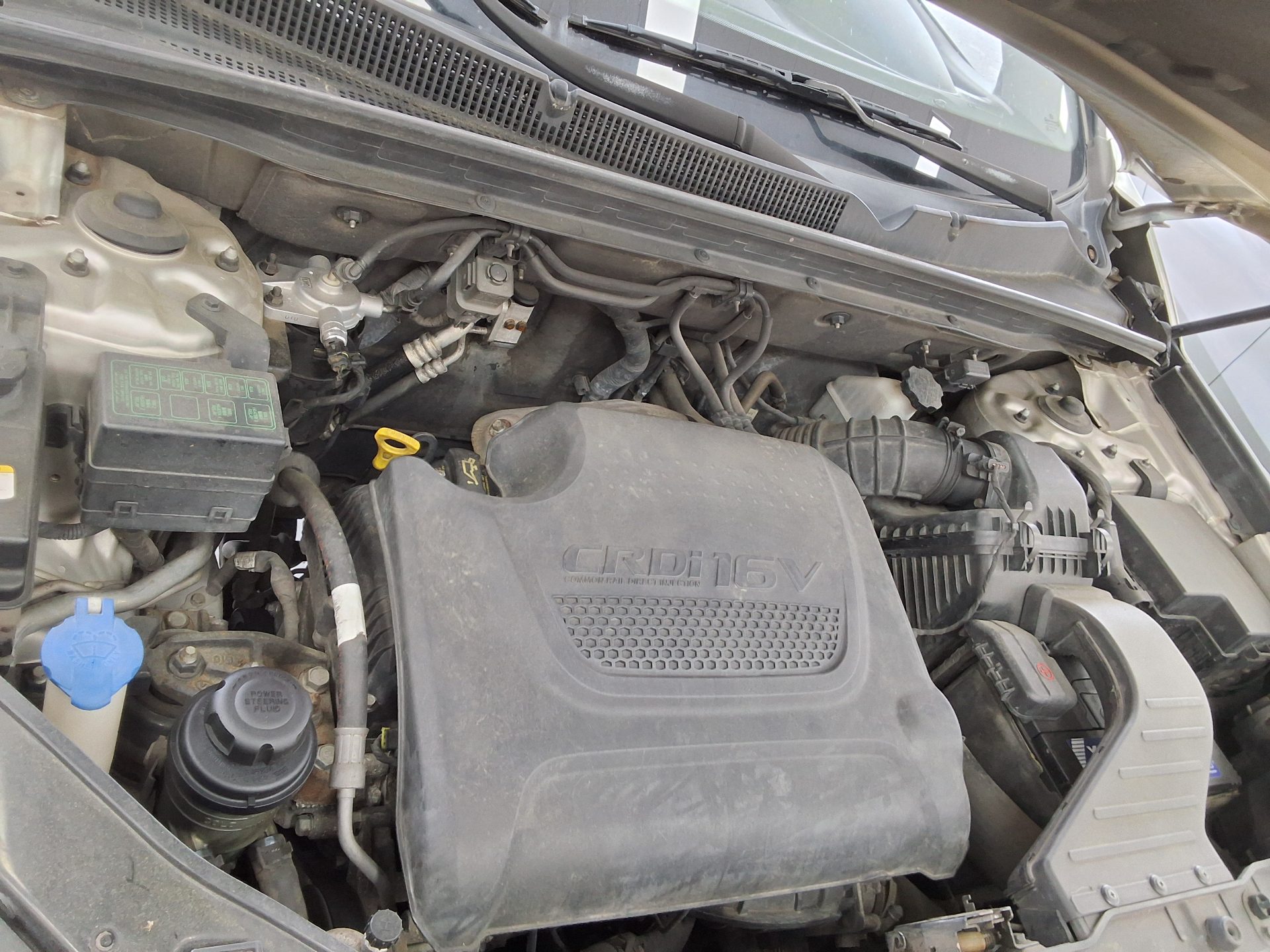 2010 - kia sorento