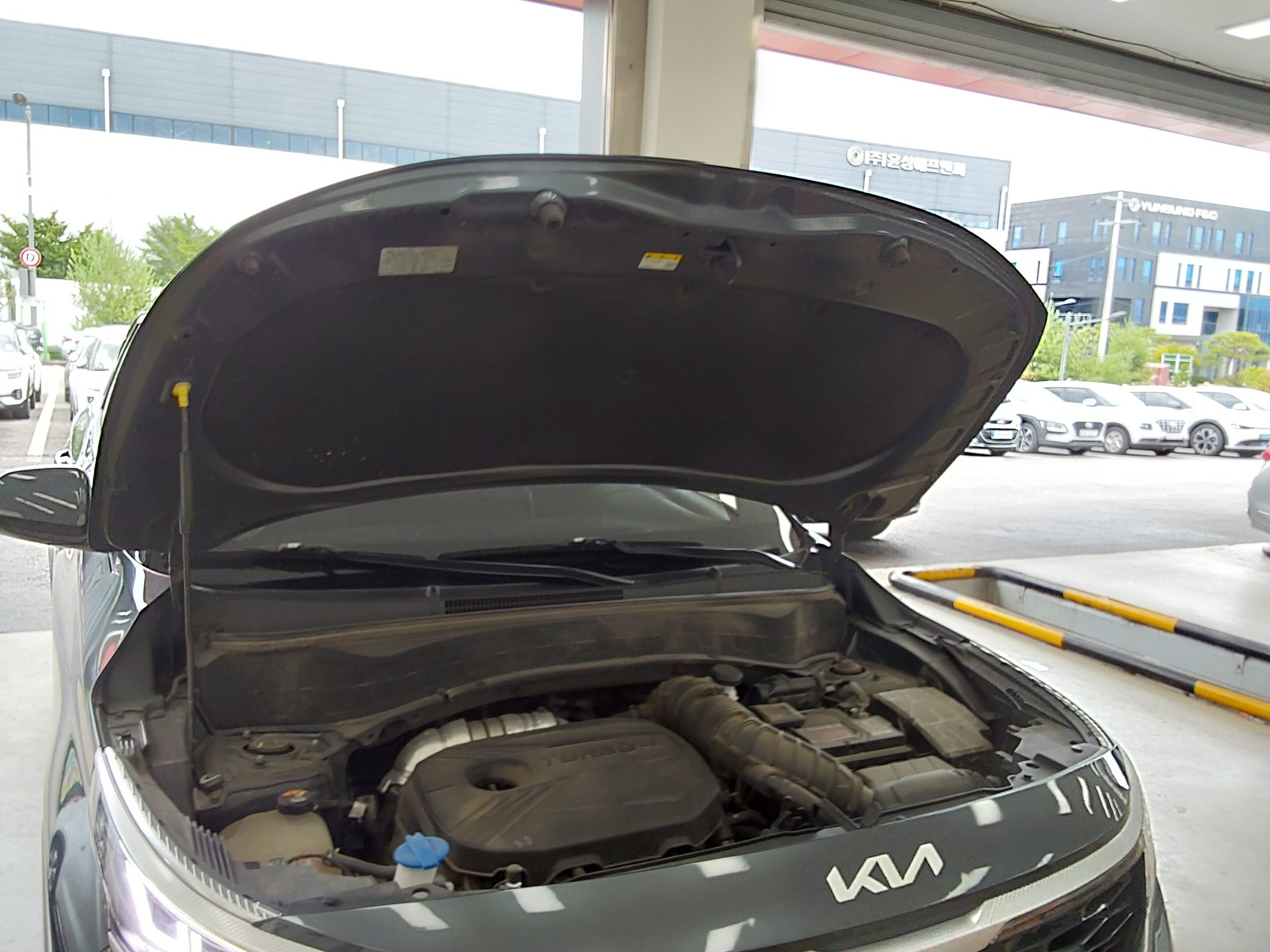 2023 - kia seltos