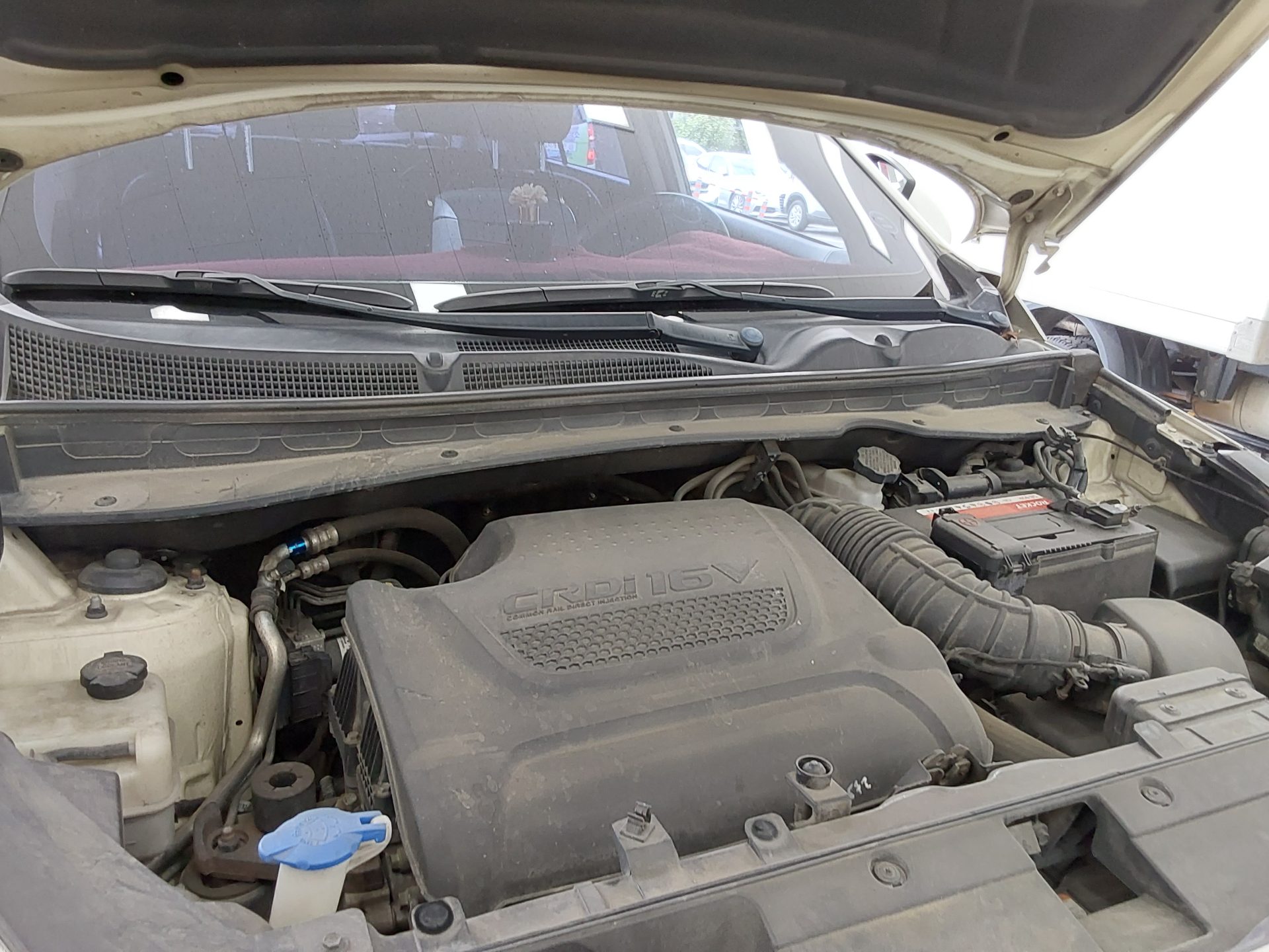 2012 - kia sportage