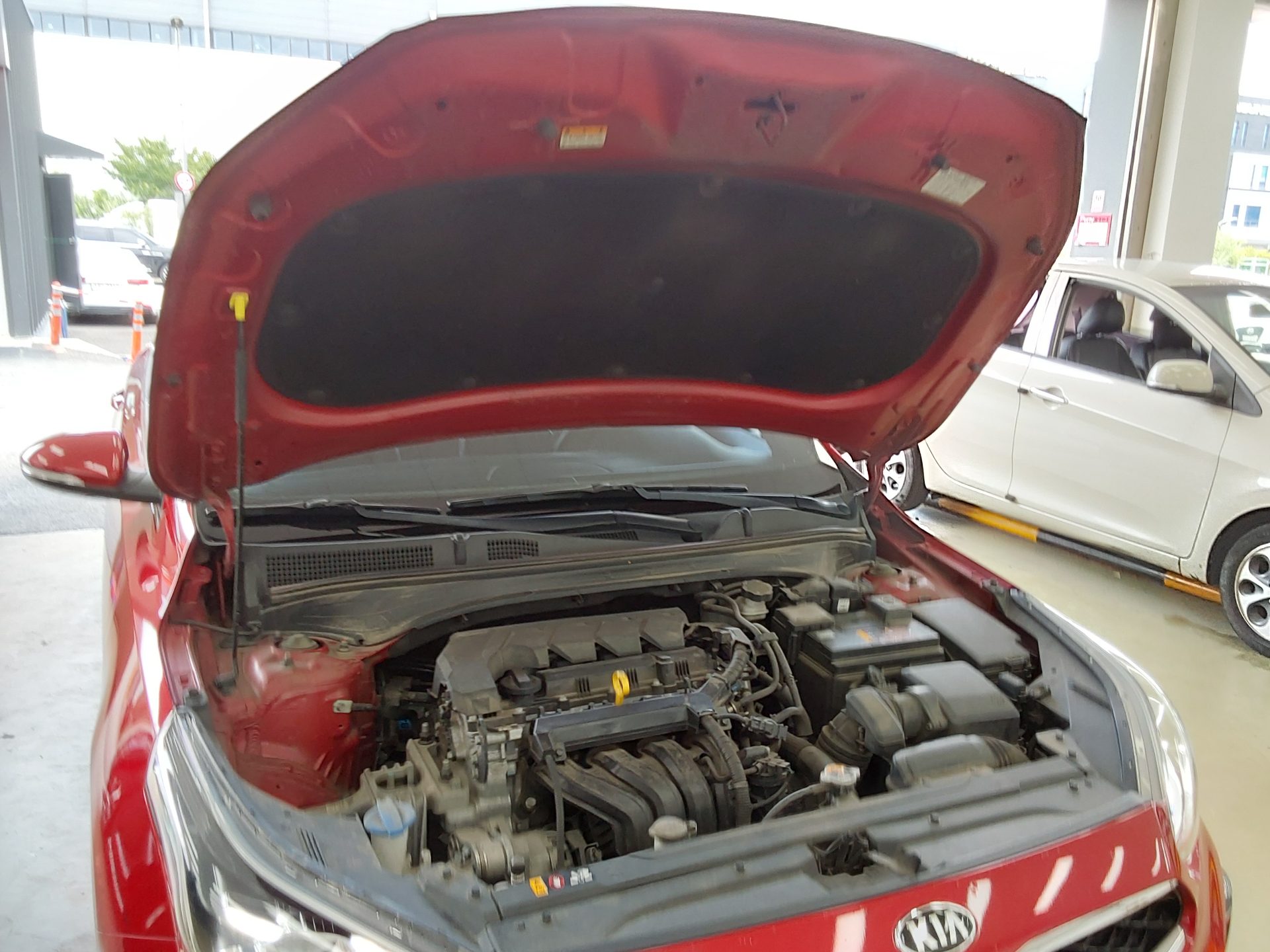 2019 - kia k3