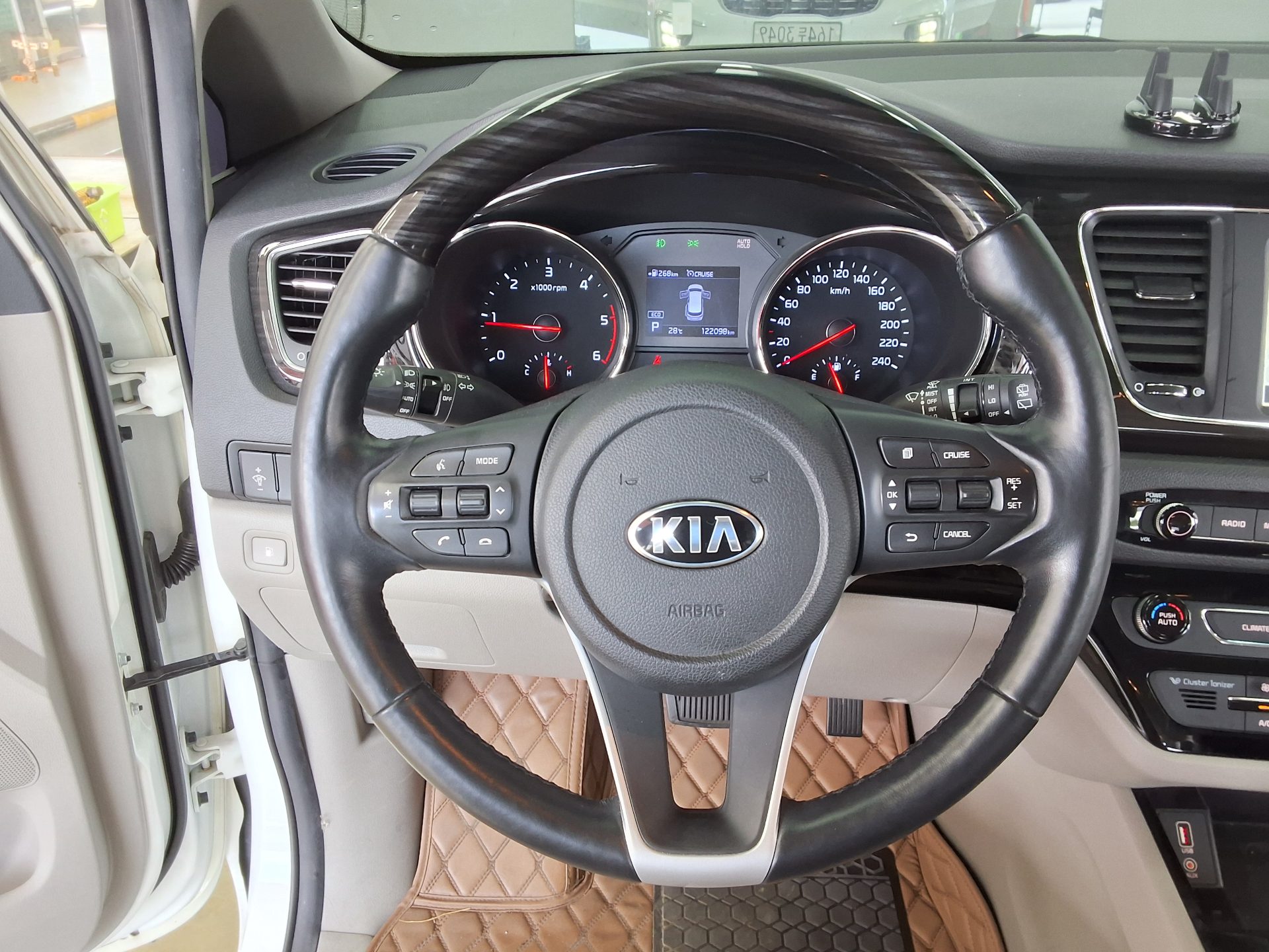 2019 - kia carnival