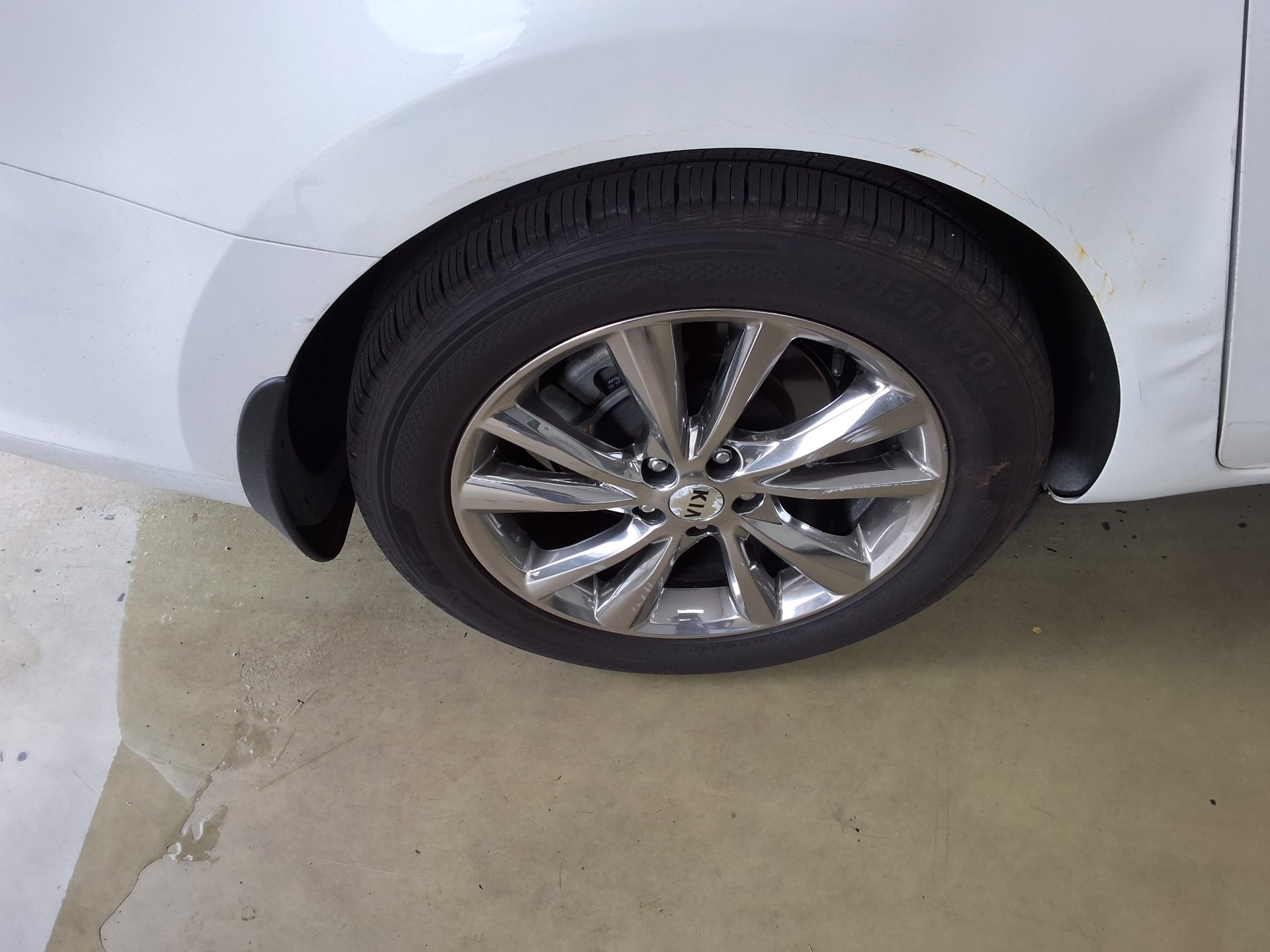 2019 - kia carnival