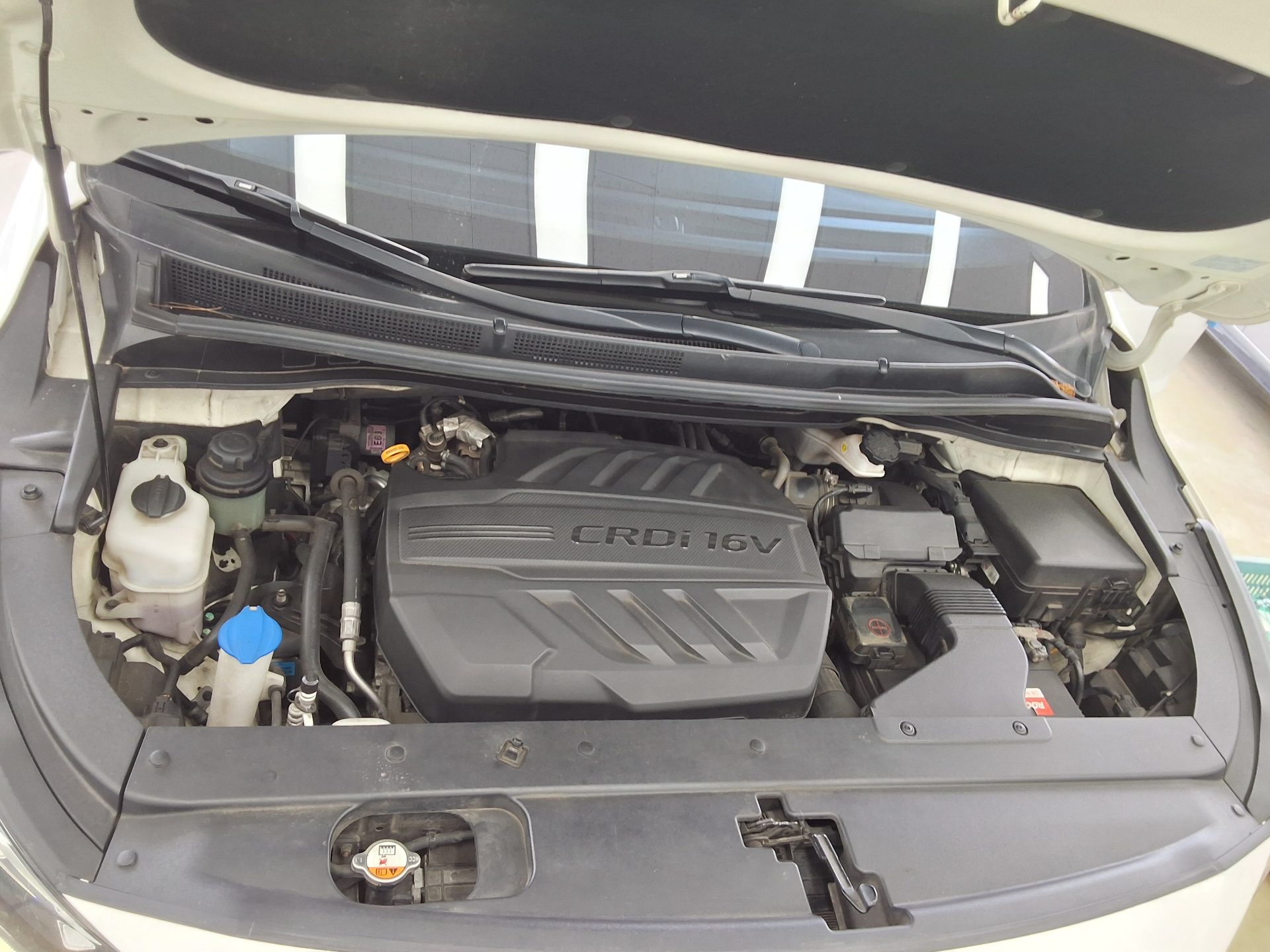 2019 - kia carnival