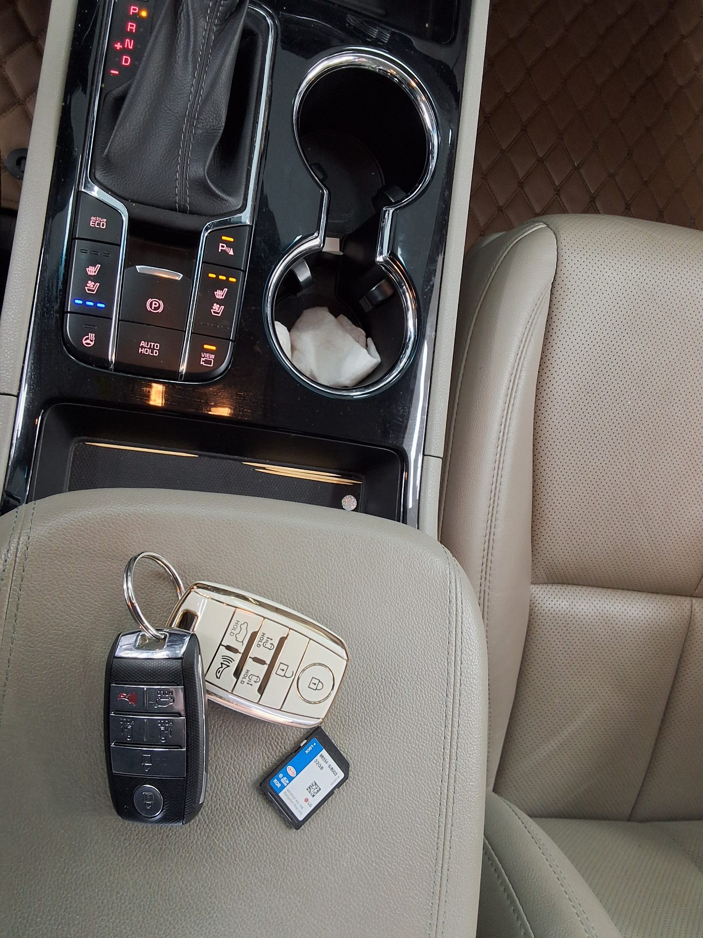 2019 - kia carnival