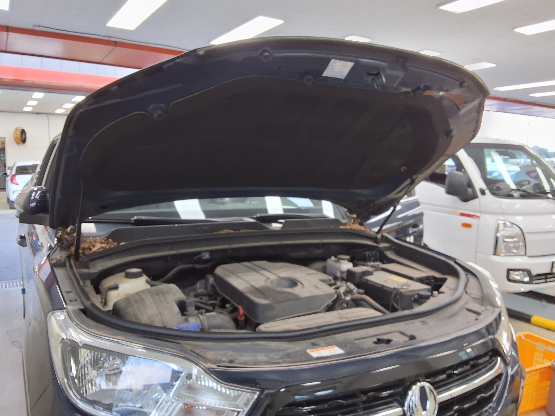 2021 - ssangyong rexton