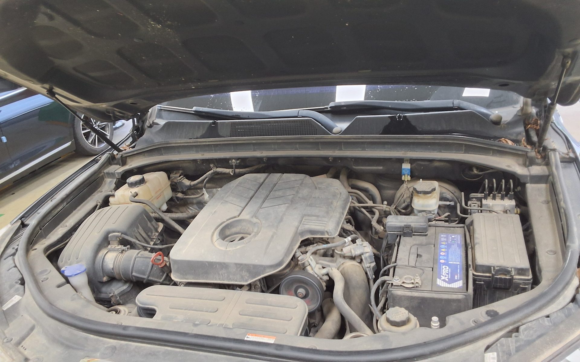 2019 - ssangyong rexton