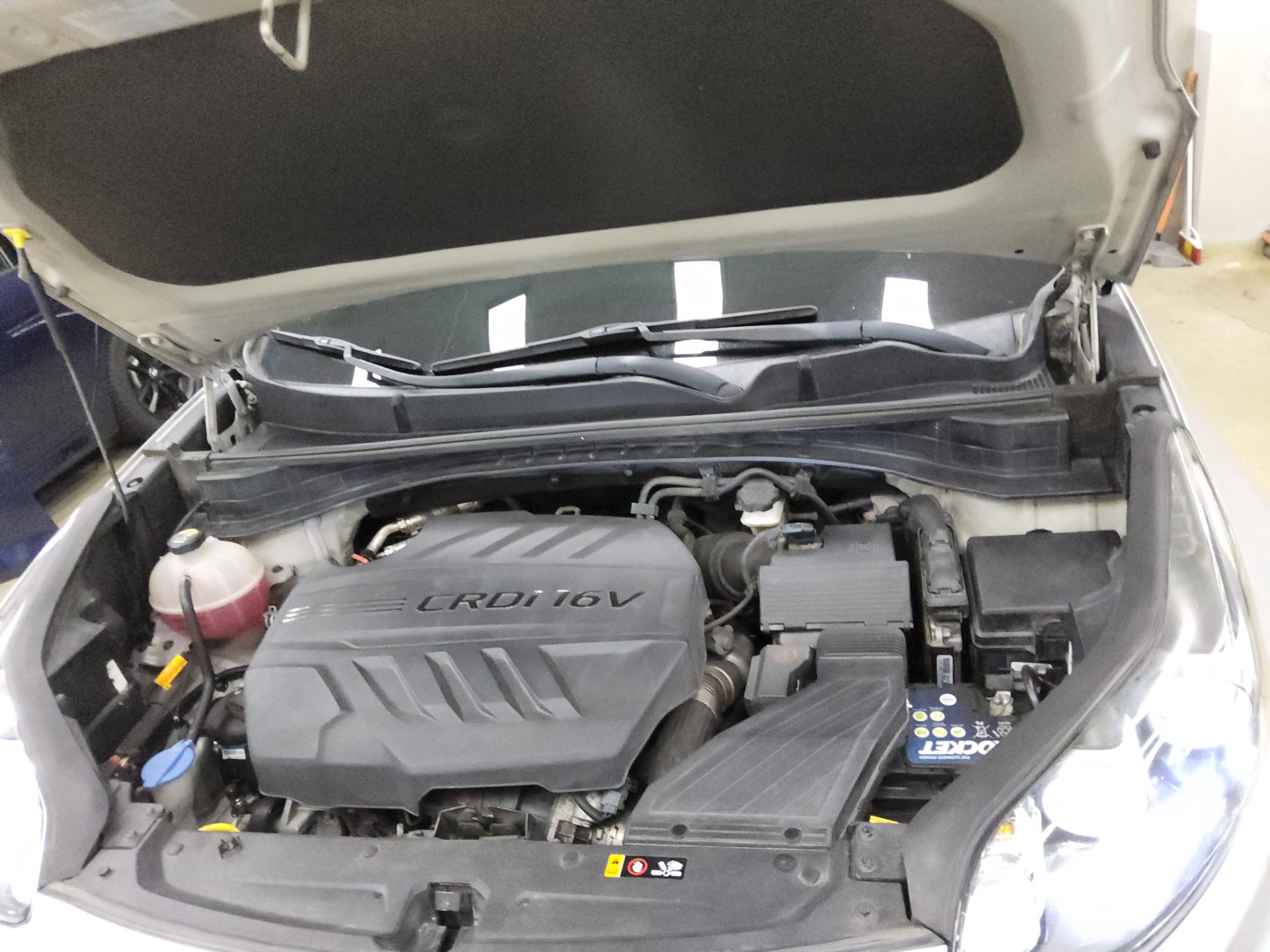 2019 - kia sportage