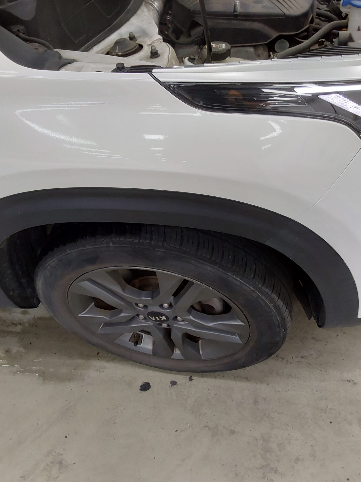 2020 - kia seltos