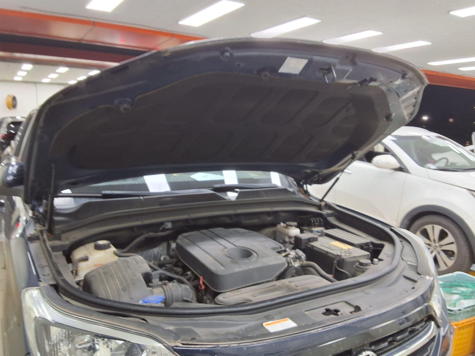 2021 - ssangyong rexton