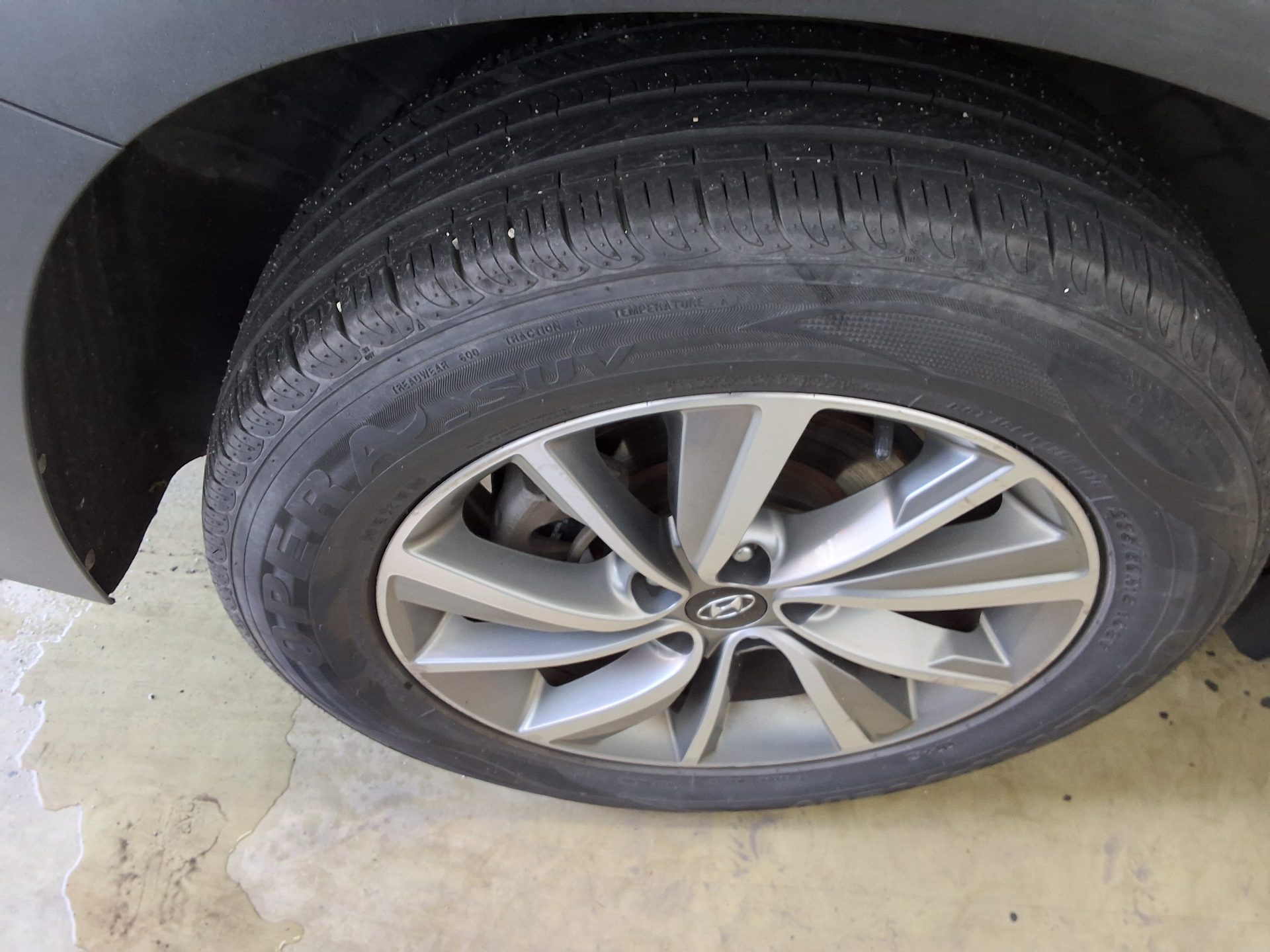 2019 - hyundai santa fe
