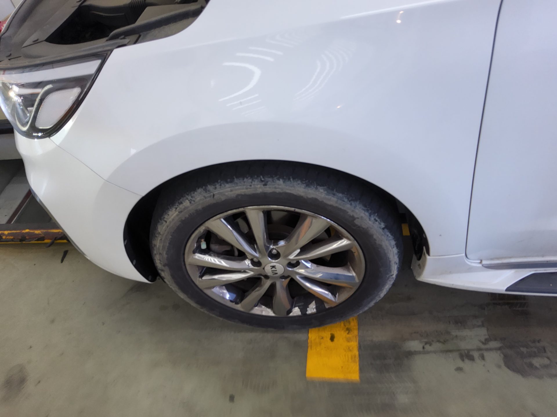 2019 - kia carnival