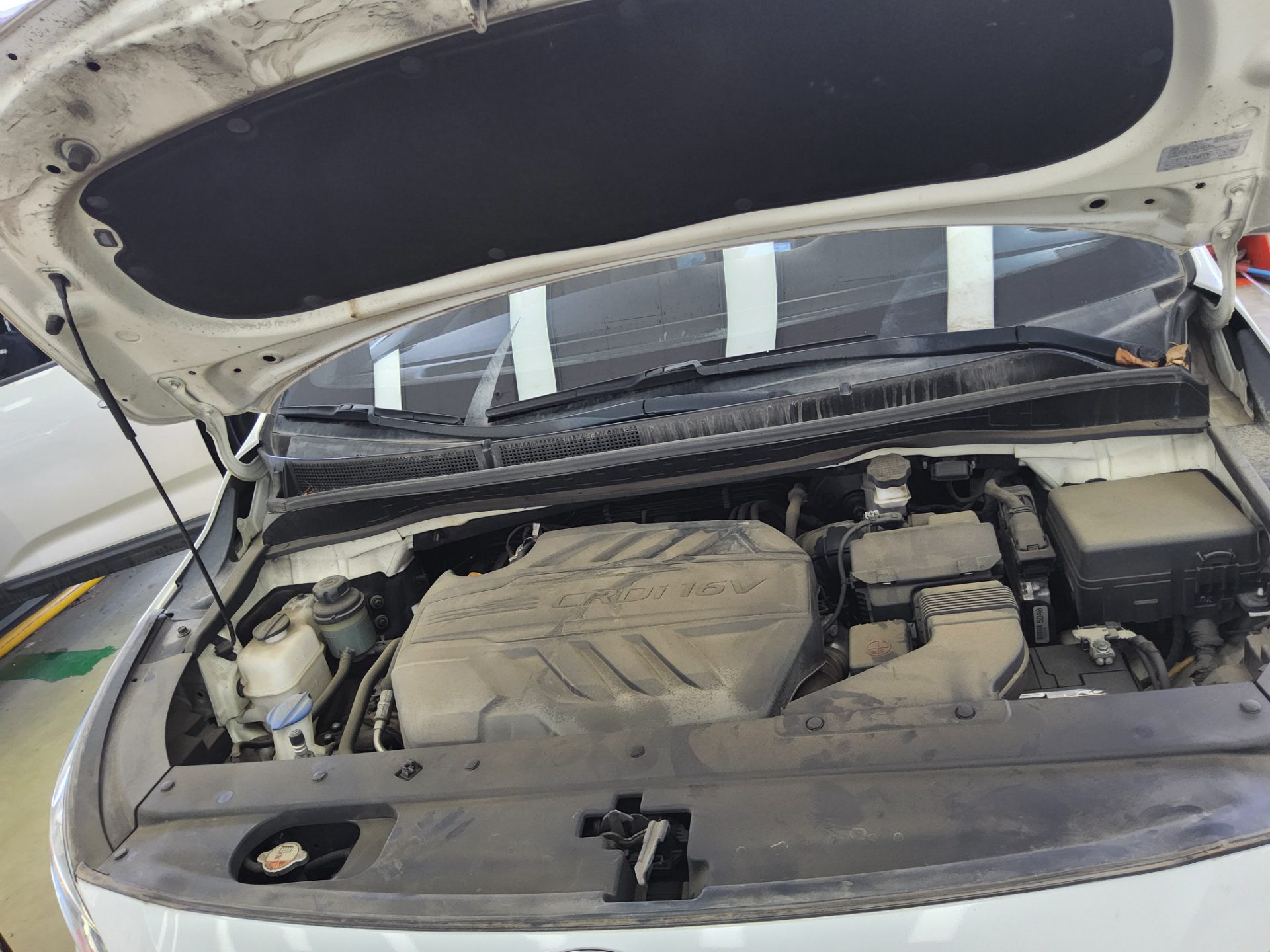 2019 - kia carnival