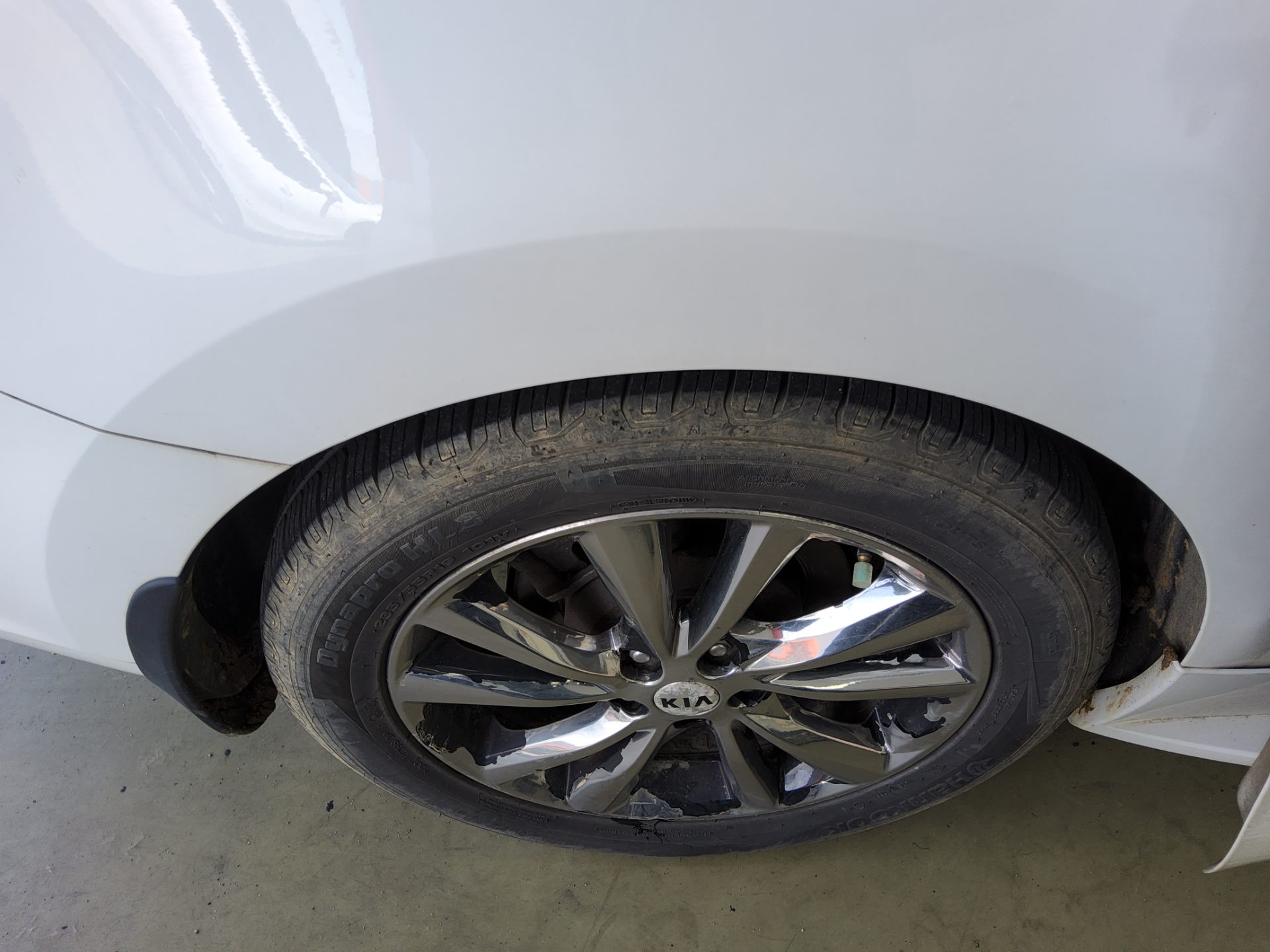 2019 - kia carnival