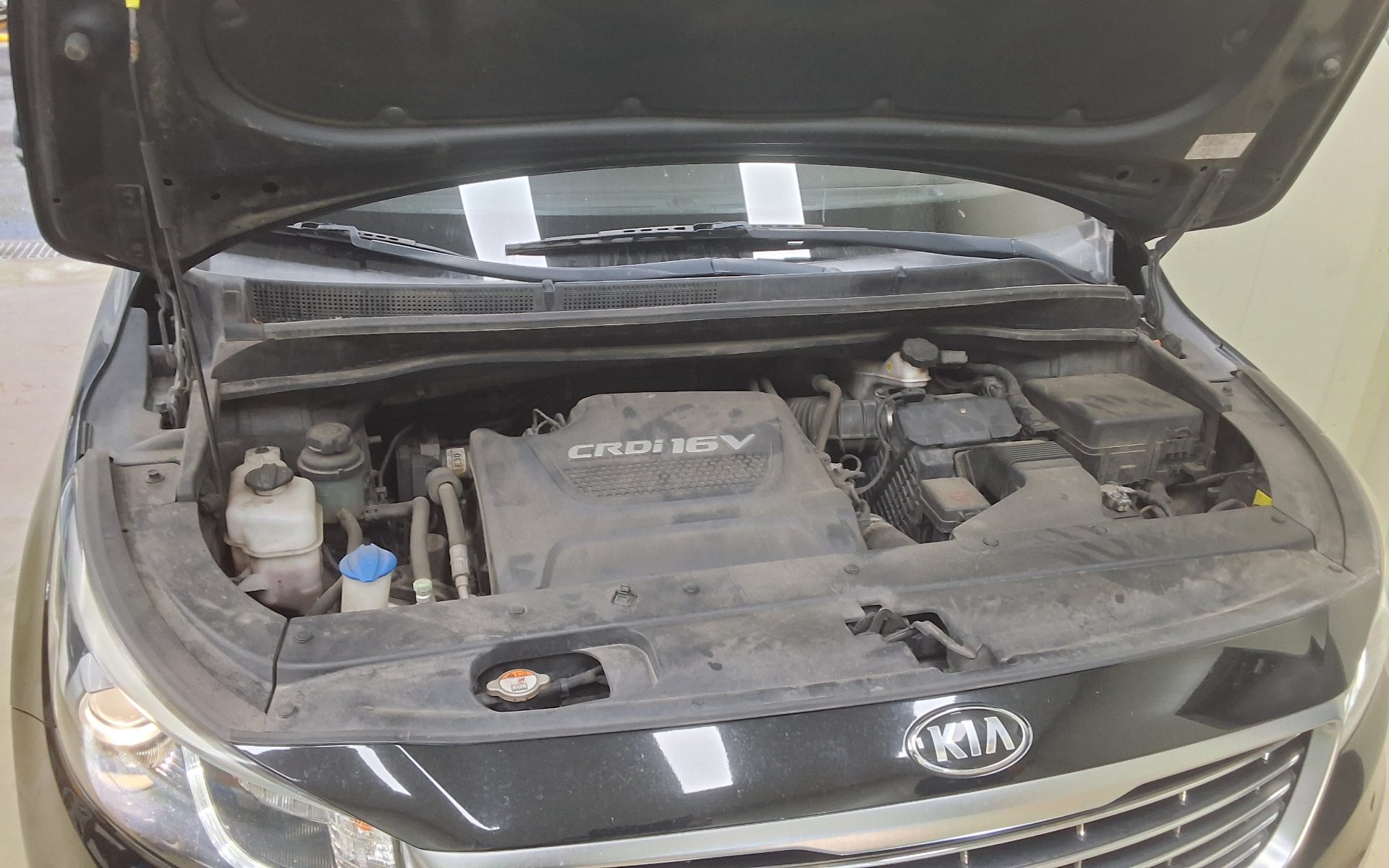 2017 - kia carnival