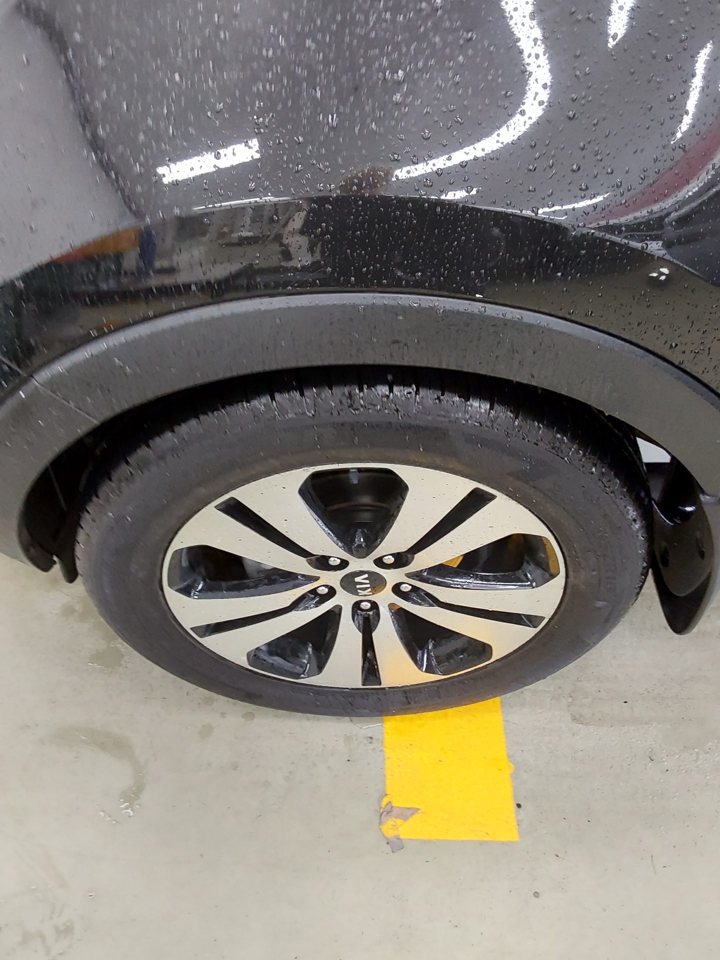 2011 - kia sportage