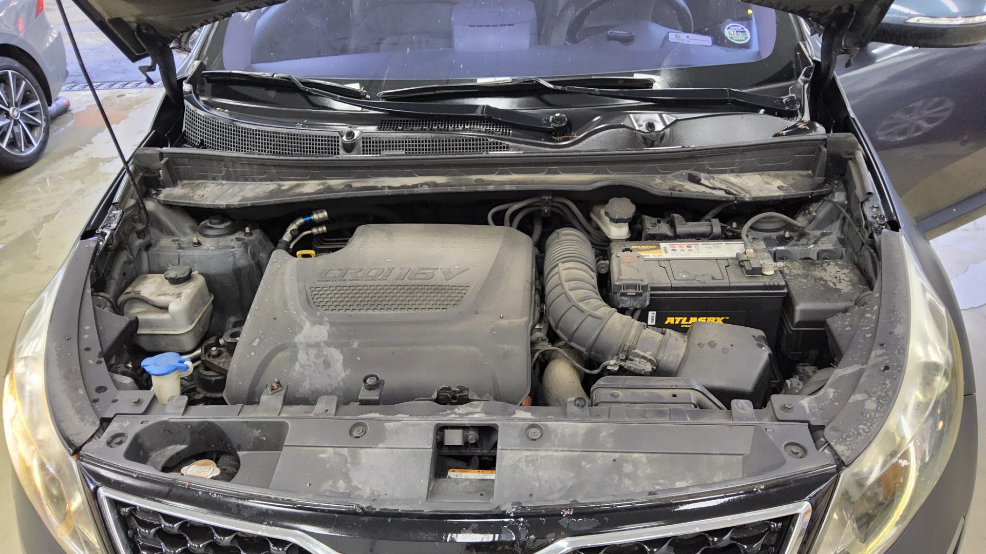 2011 - kia sportage