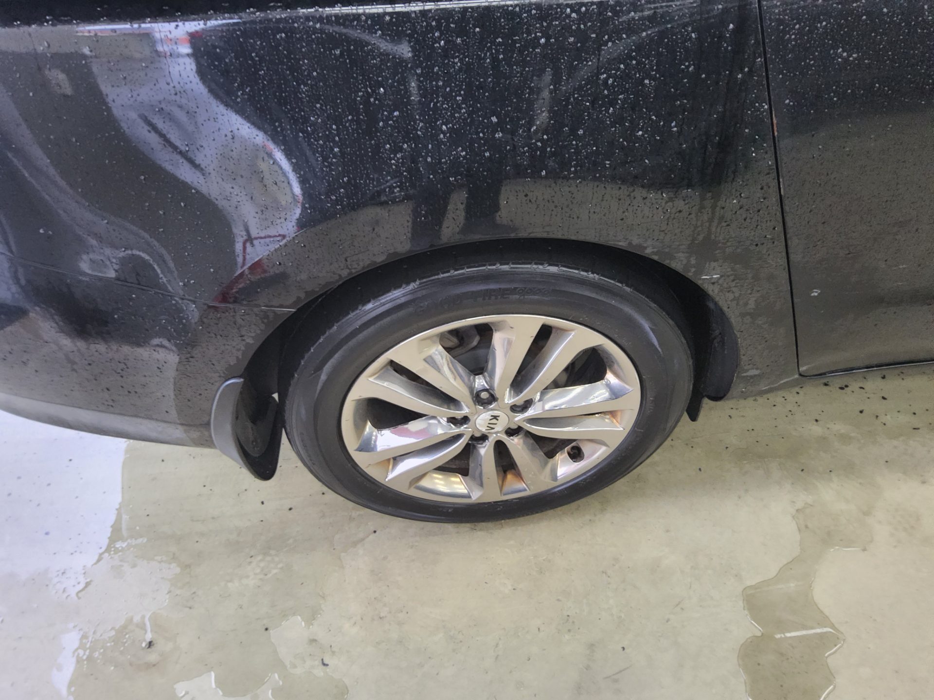 2016 - kia carnival