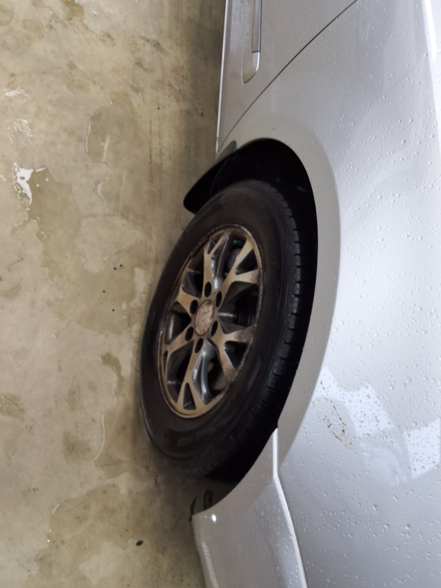 2014 - kia carnival