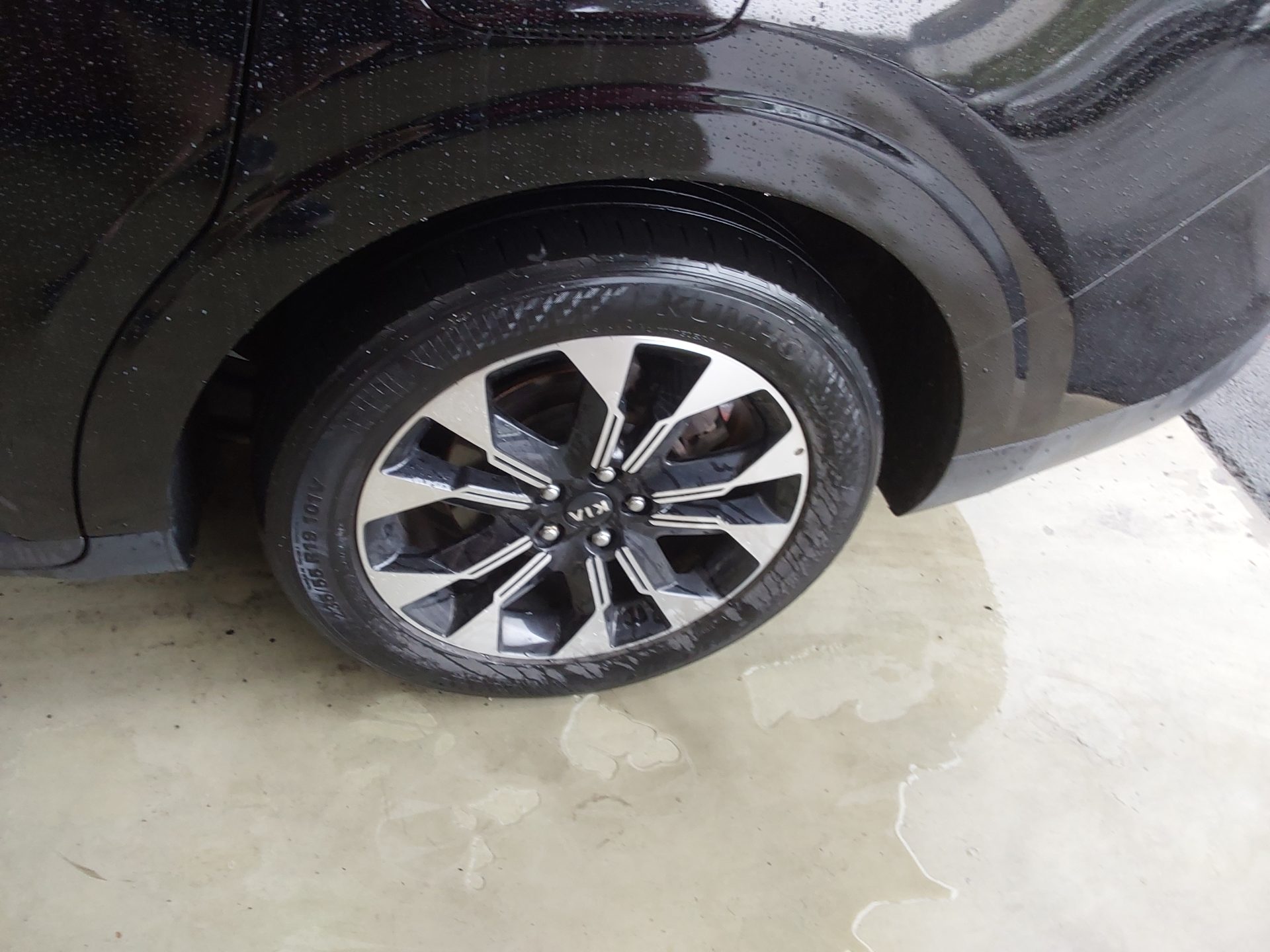 2021 - kia carnival