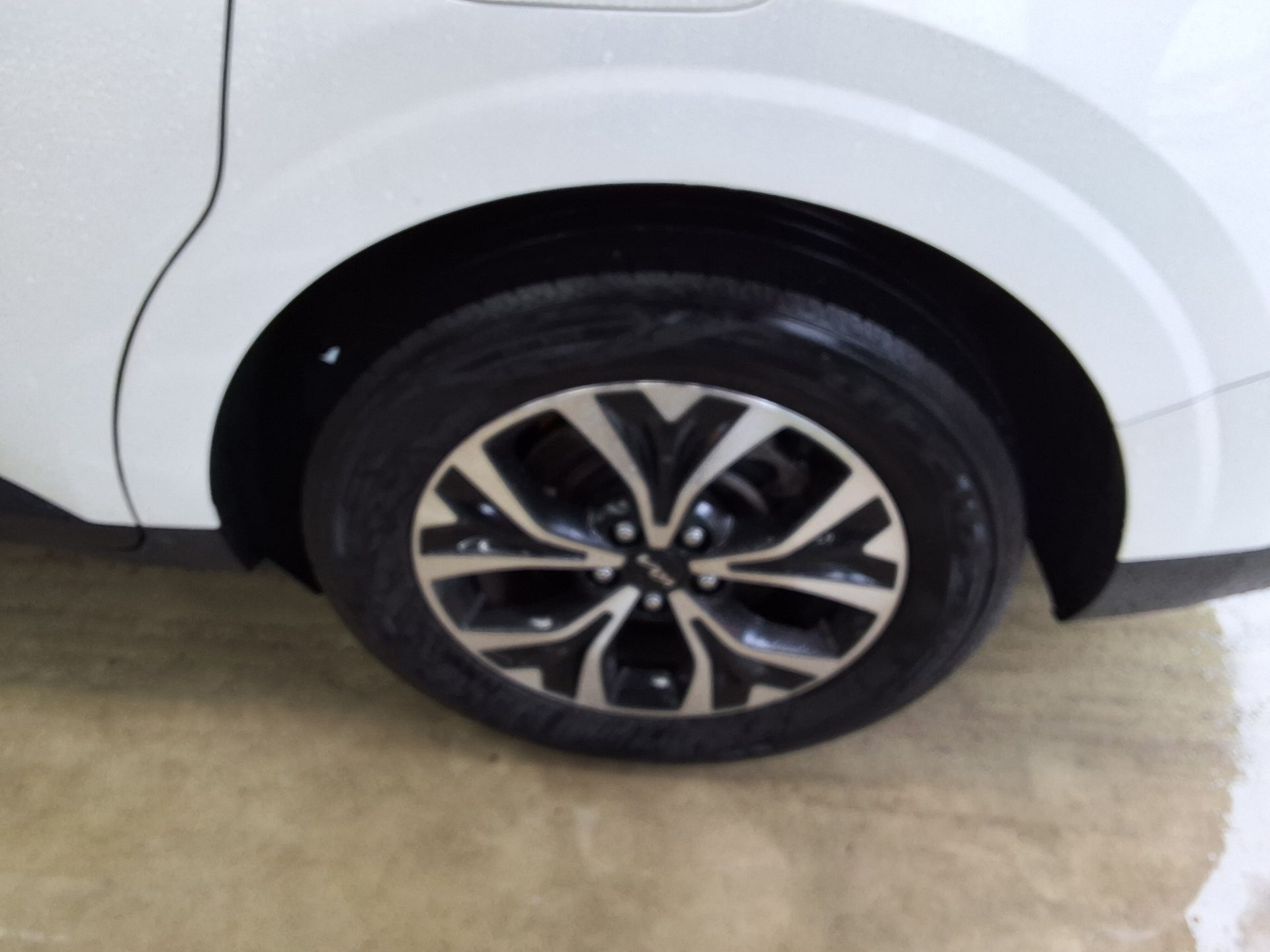 2023 - kia carnival