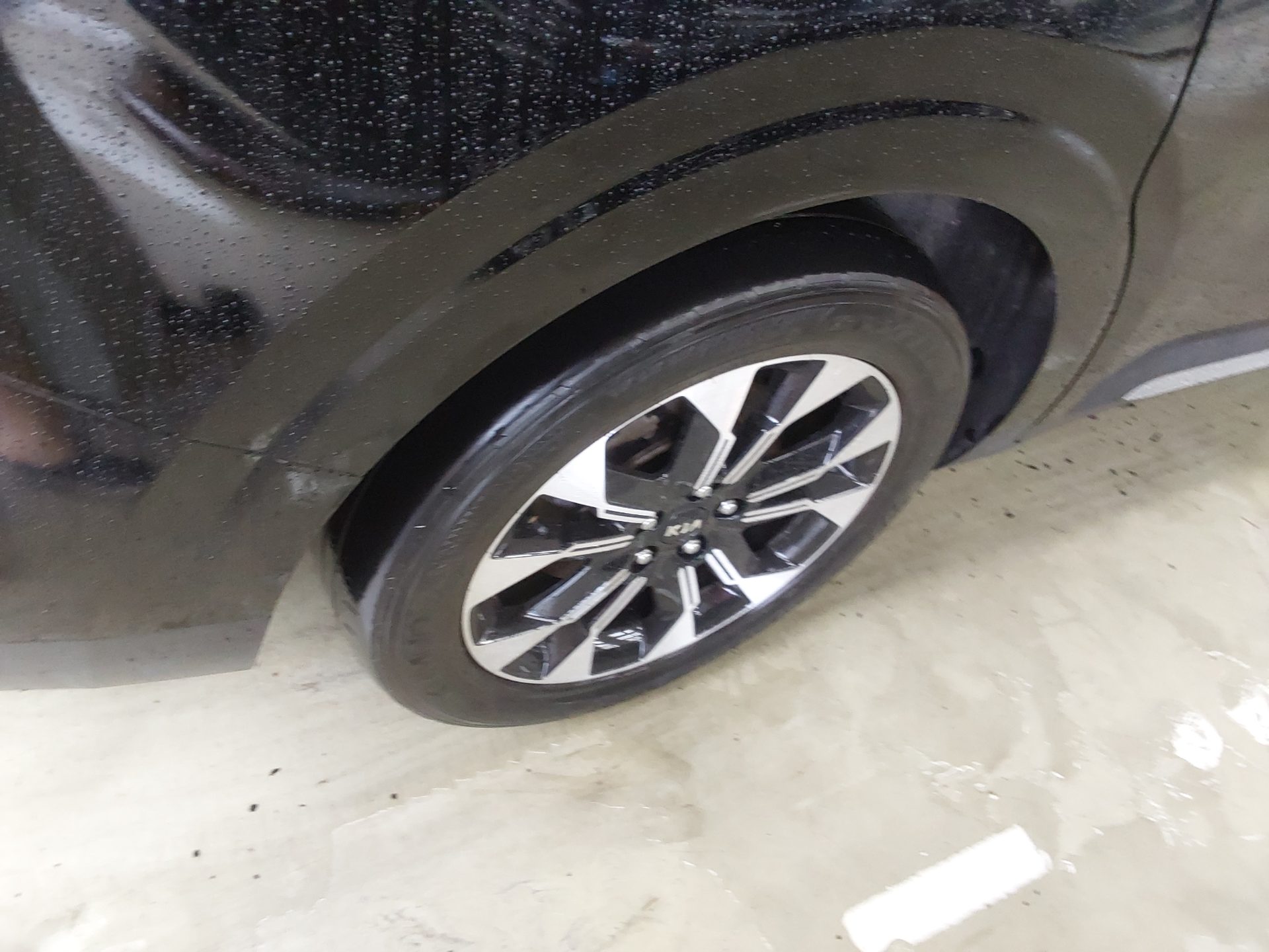 2021 - kia carnival