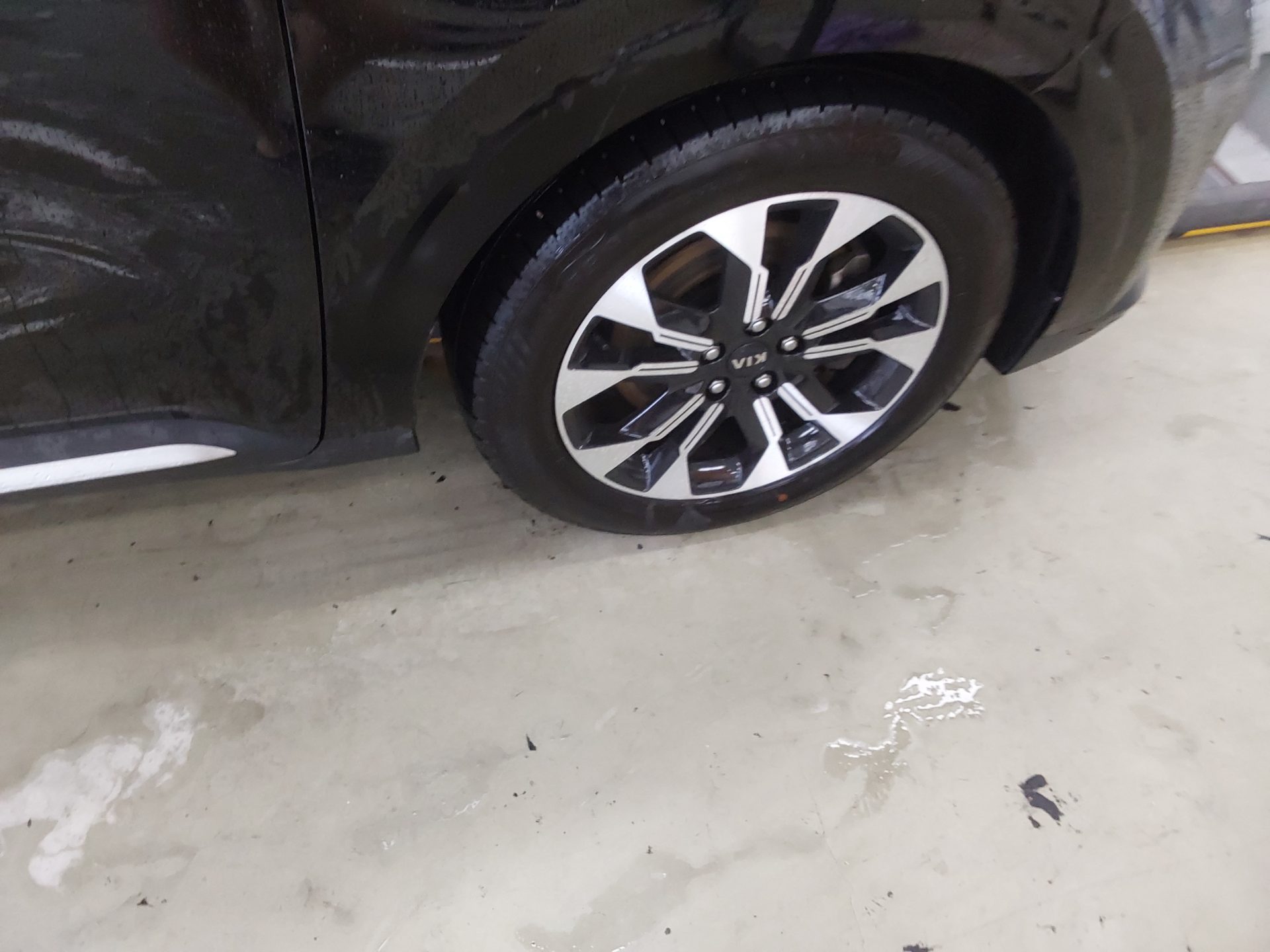 2021 - kia carnival
