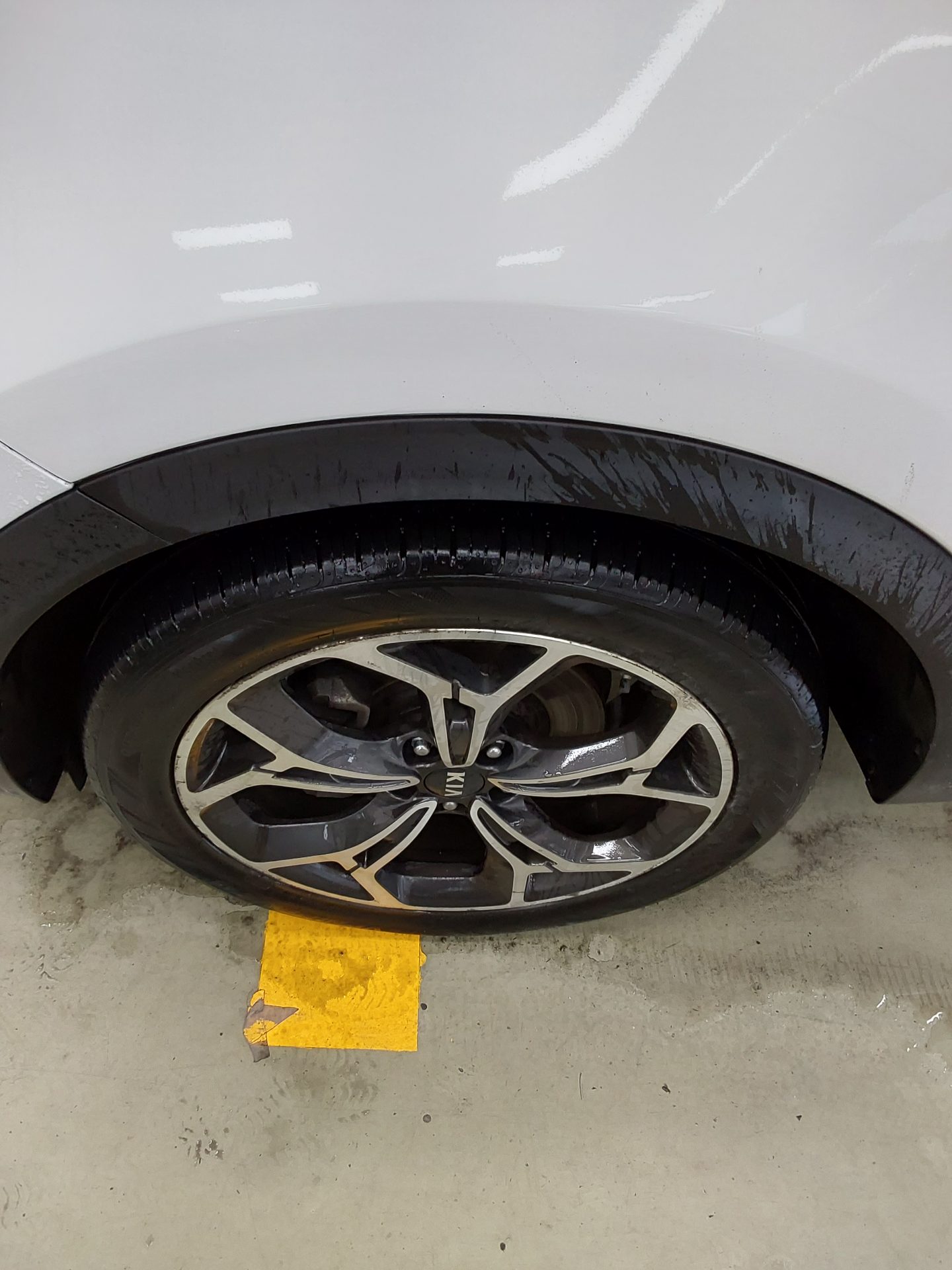 2019 - kia sportage