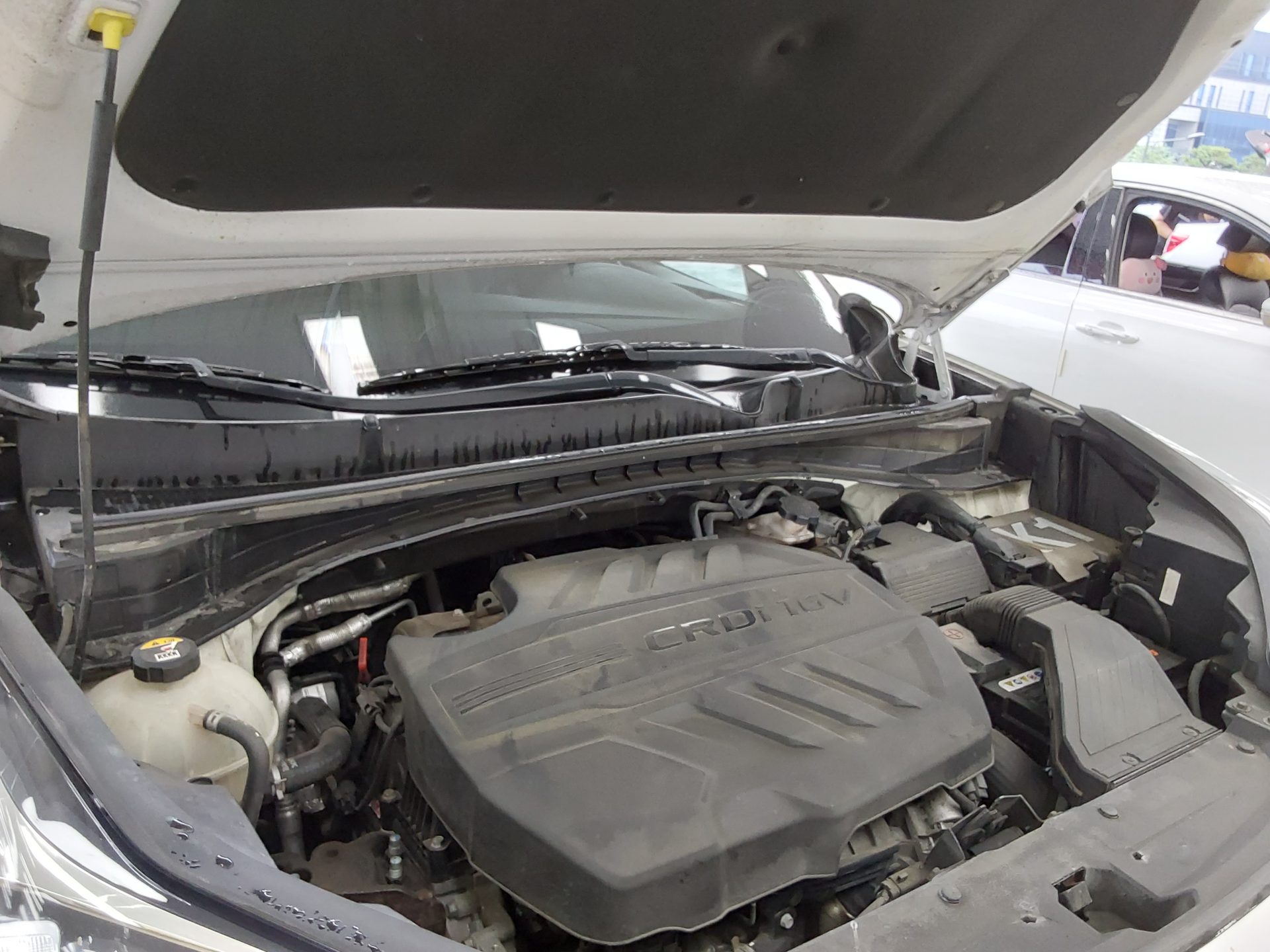 2019 - kia sportage