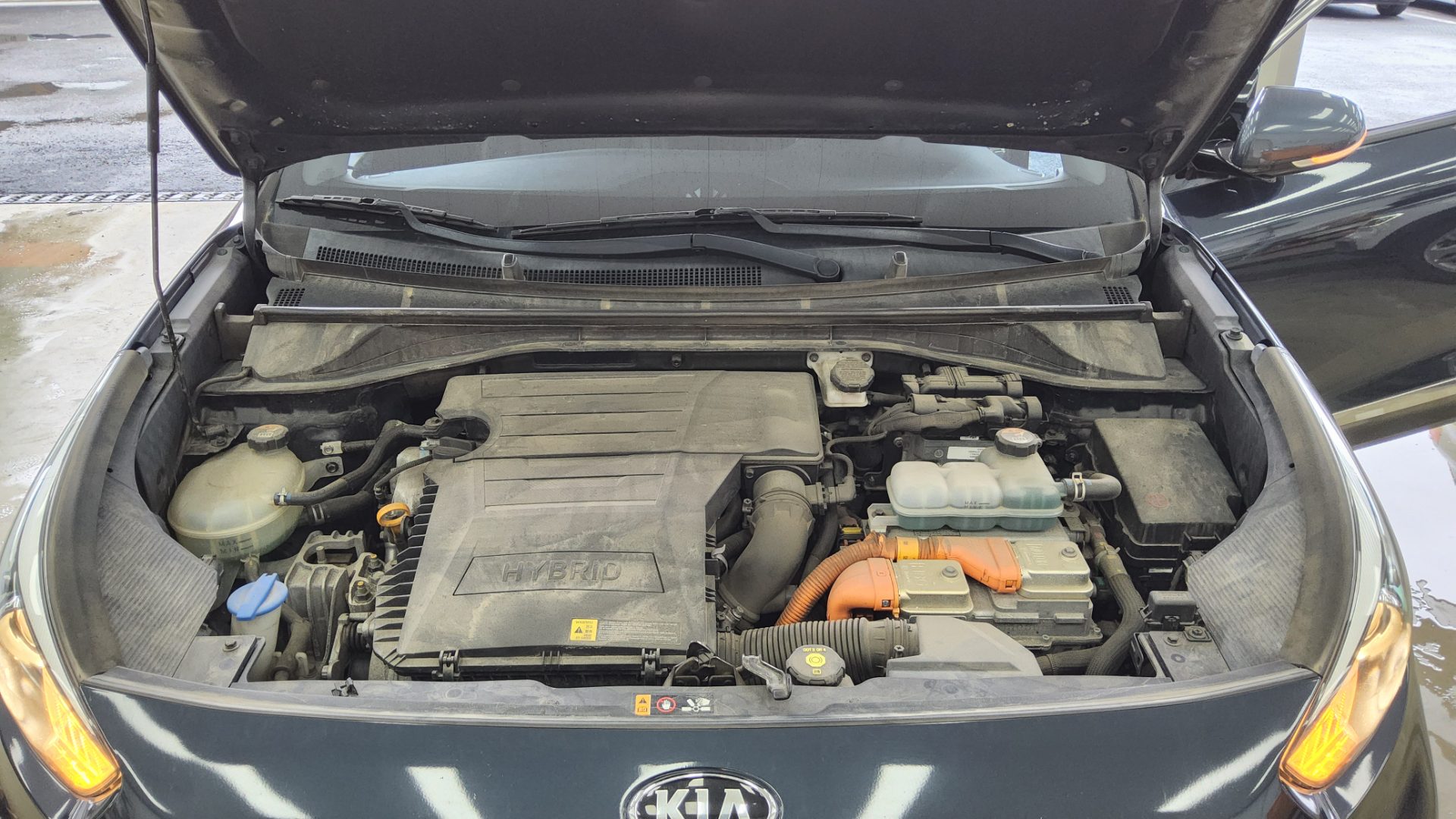 2020 - kia niro