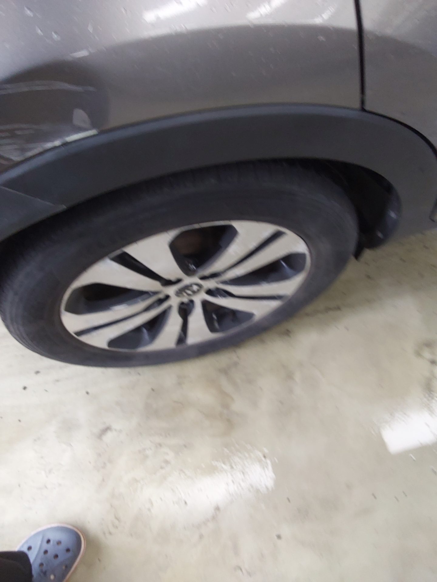 2013 - kia sportage