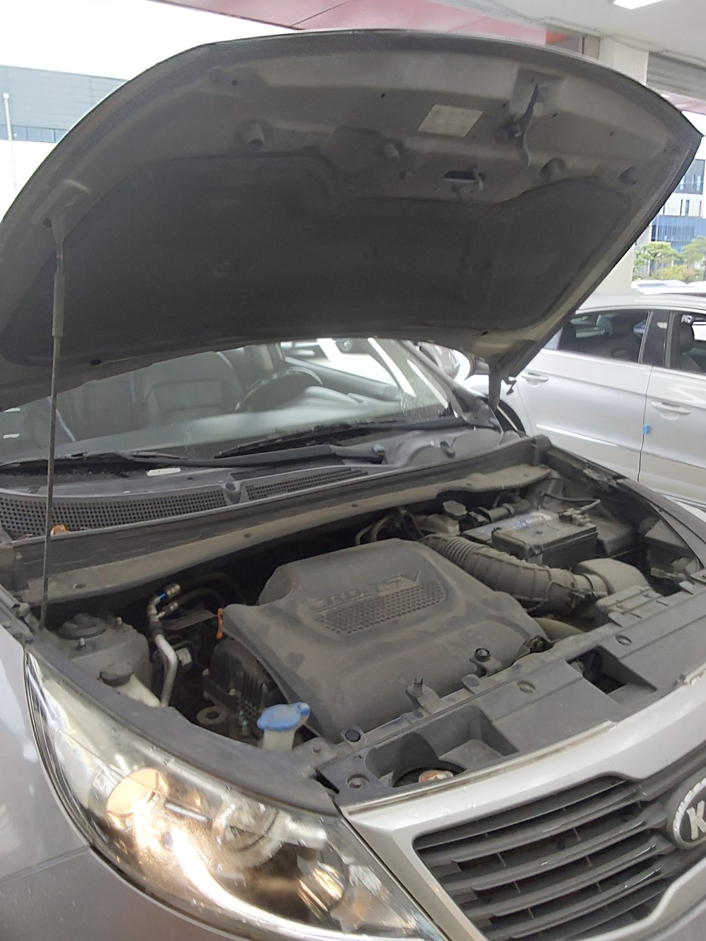 2013 - kia sportage