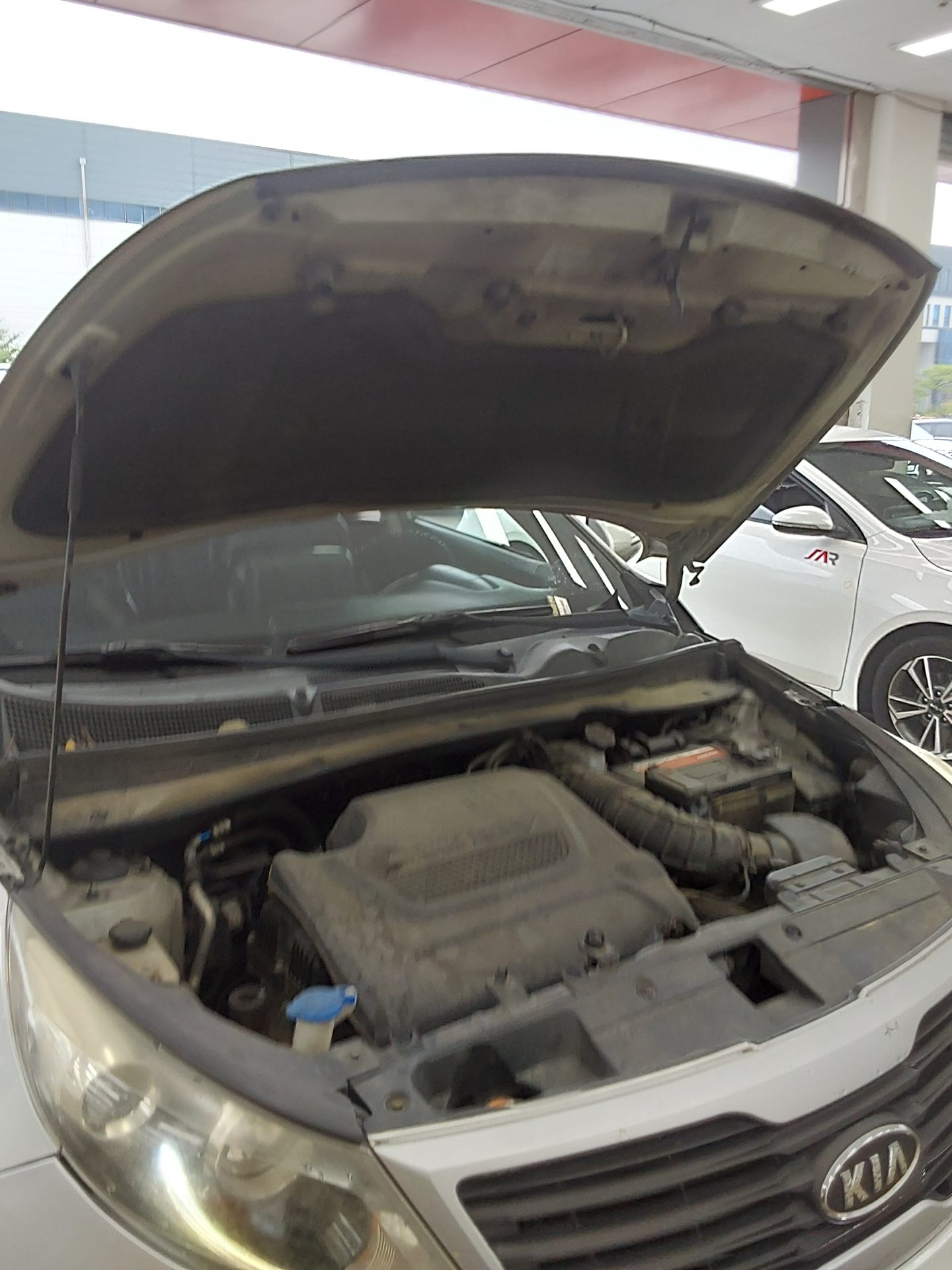 2011 - kia sportage