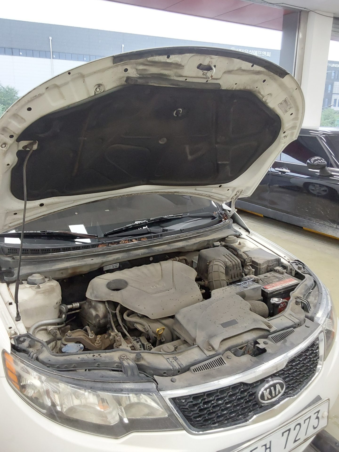 2012 - kia forte