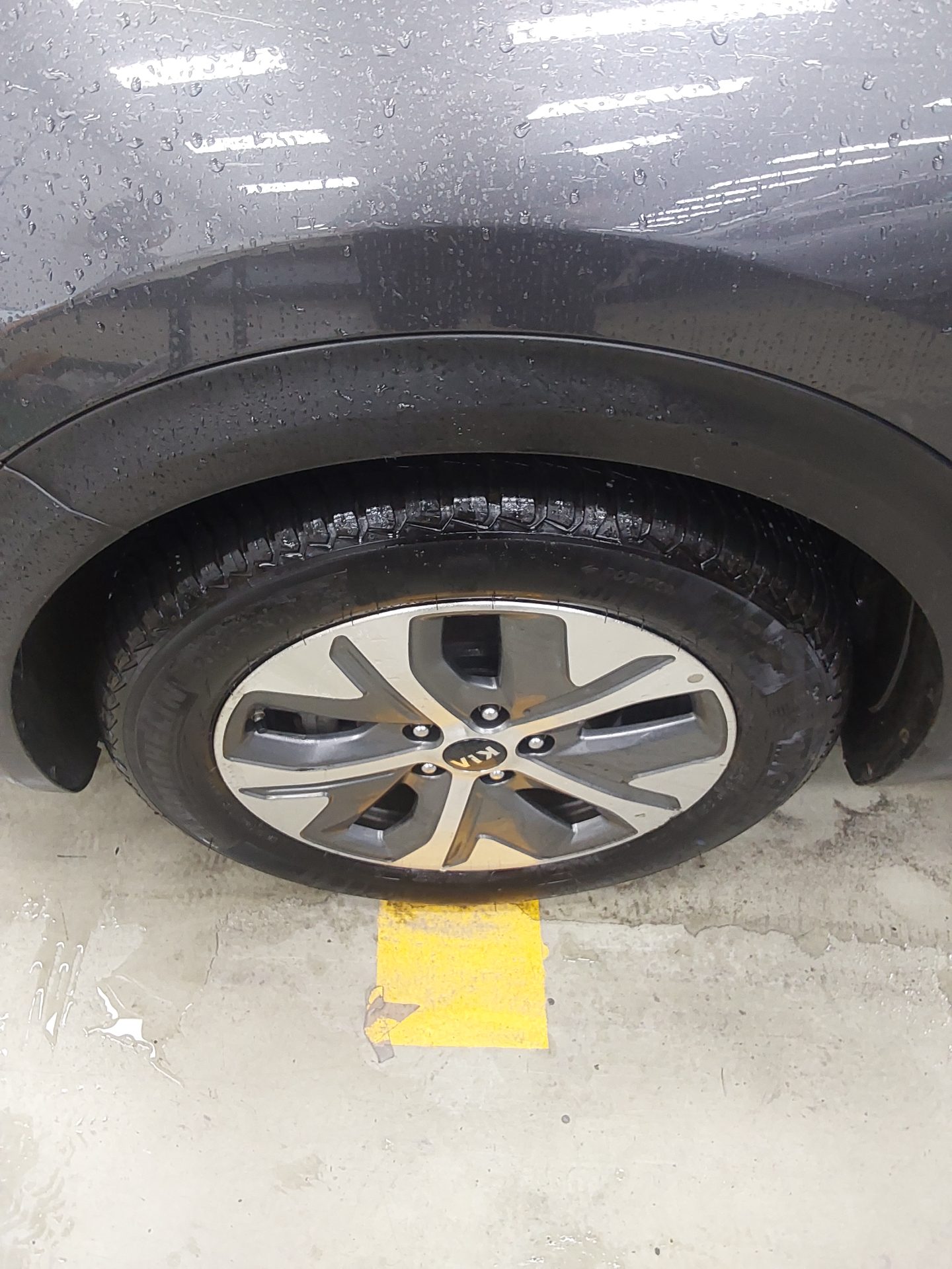 2019 - kia niro