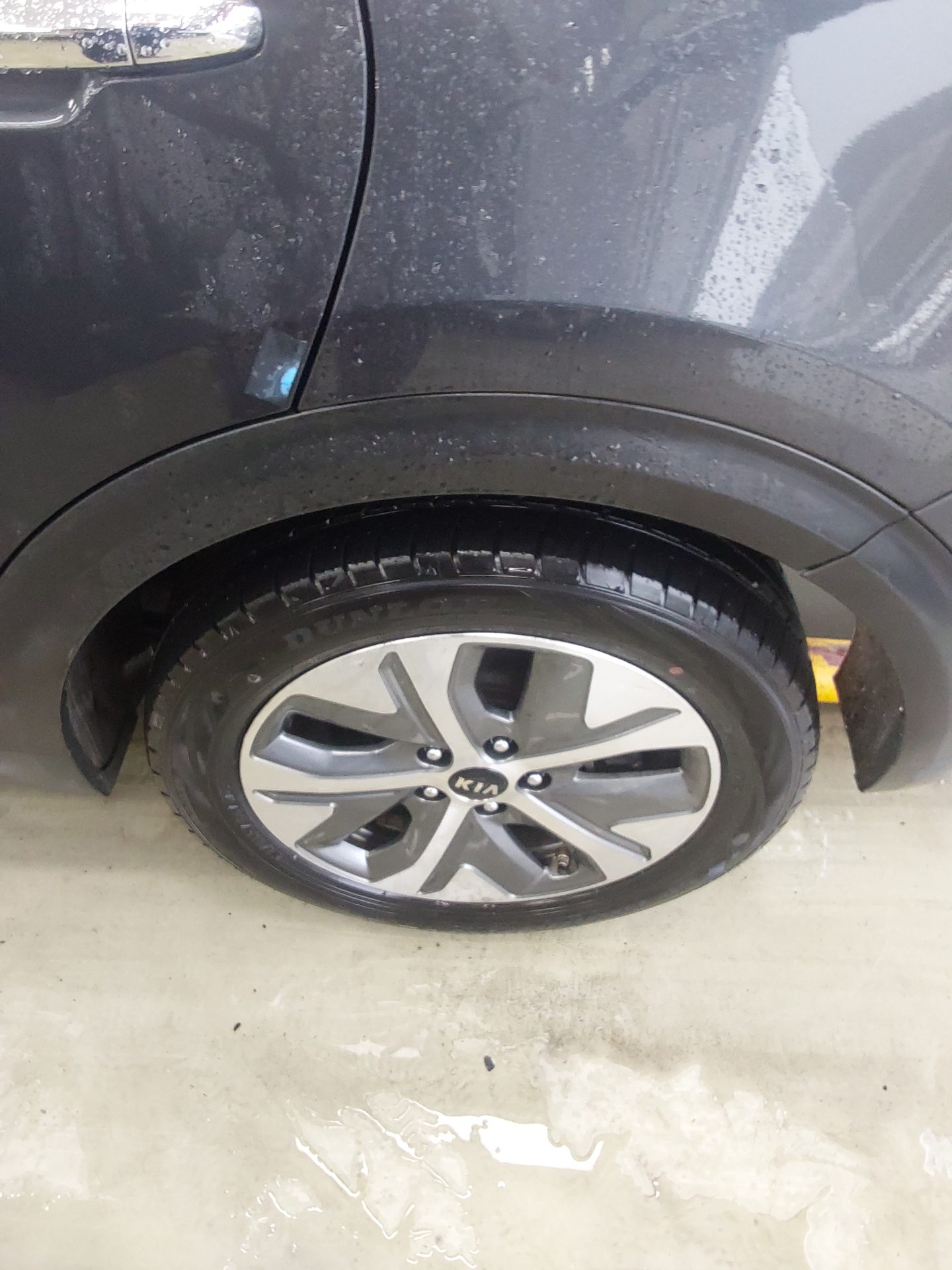 2019 - kia niro