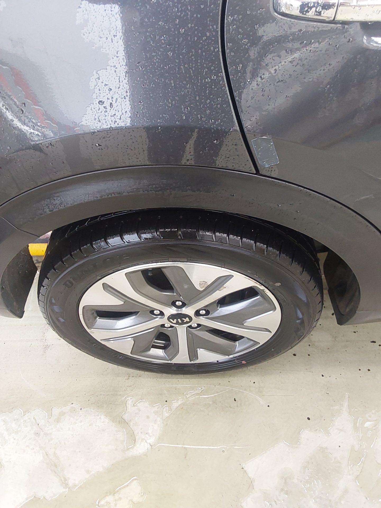2019 - kia niro