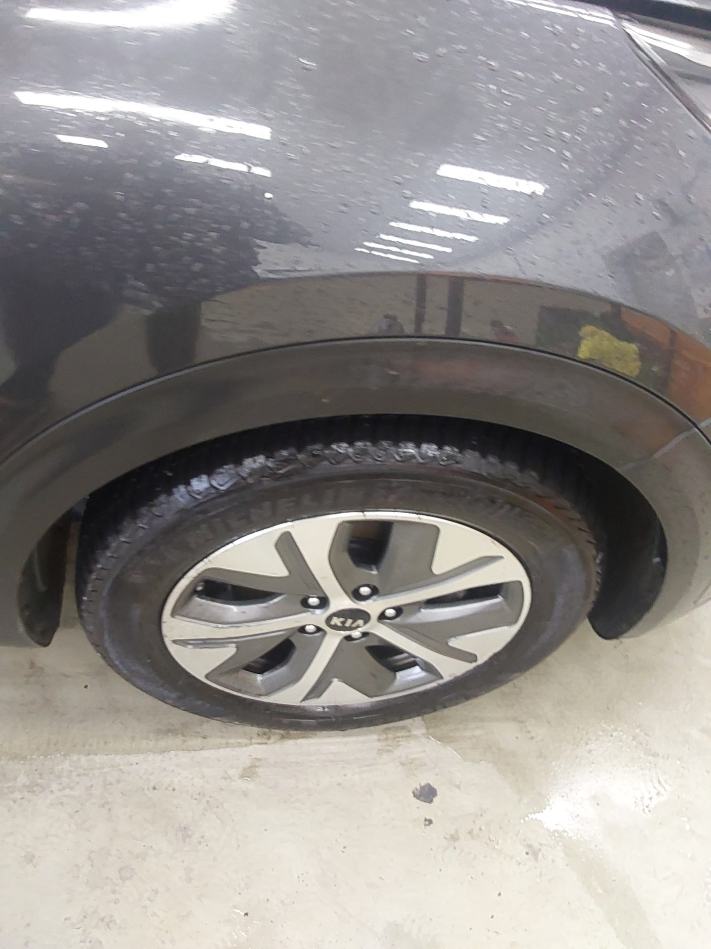 2019 - kia niro