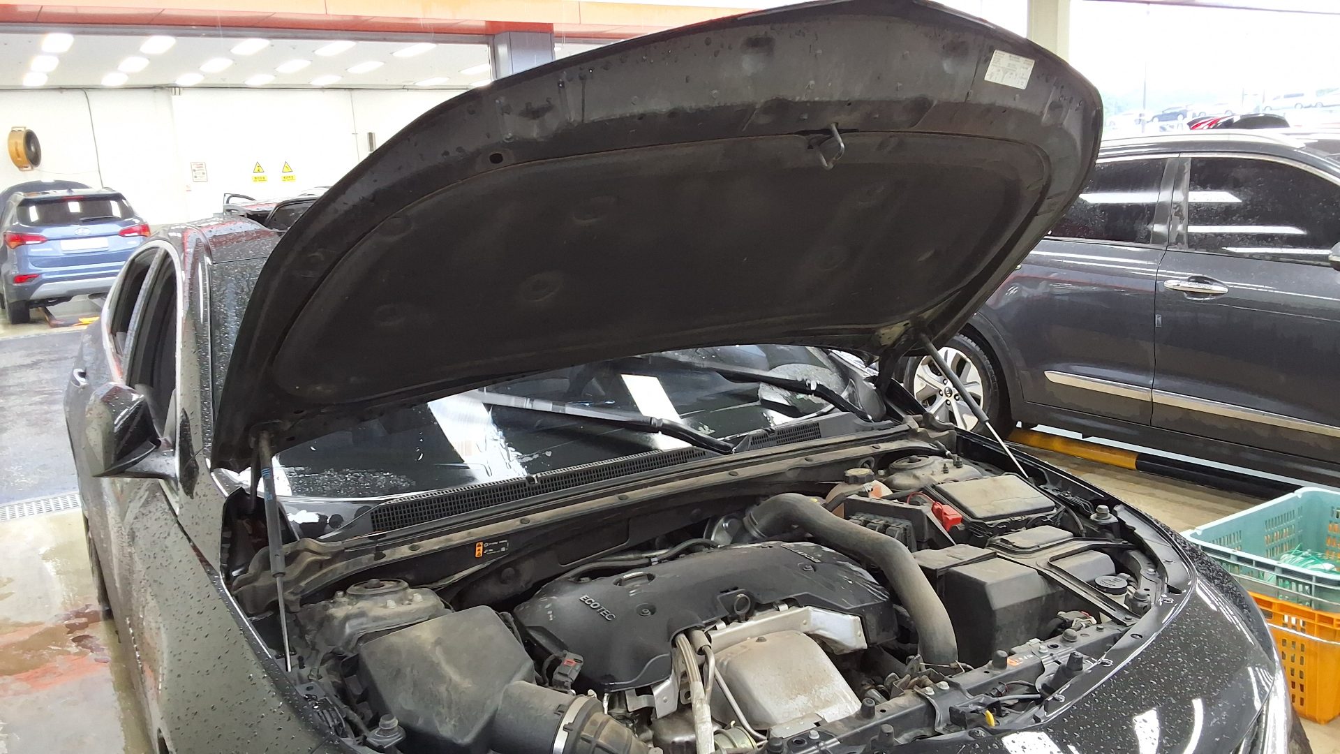 2019 - chevrolet malibu
