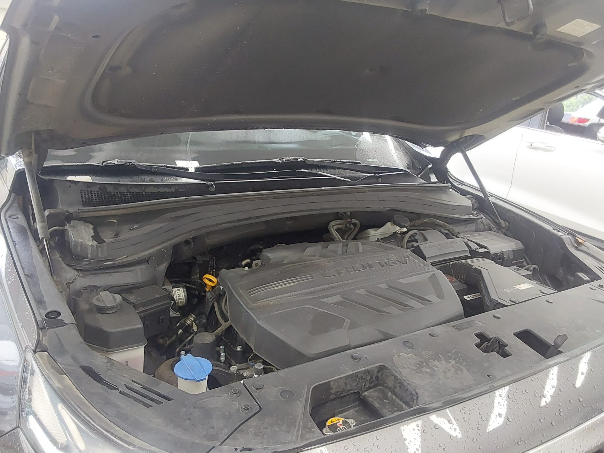 2019 - hyundai santa fe