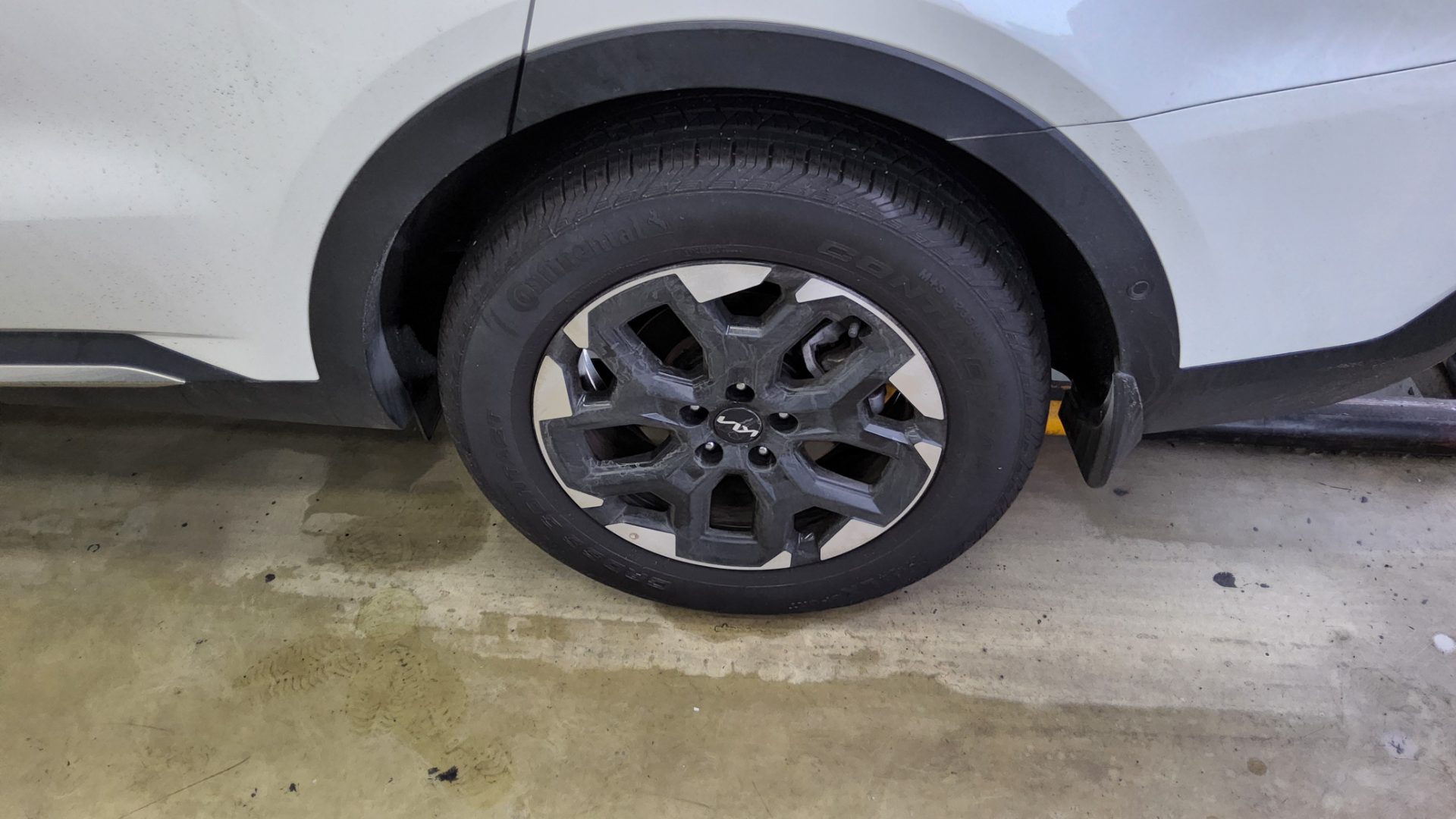 2025 - kia sorento