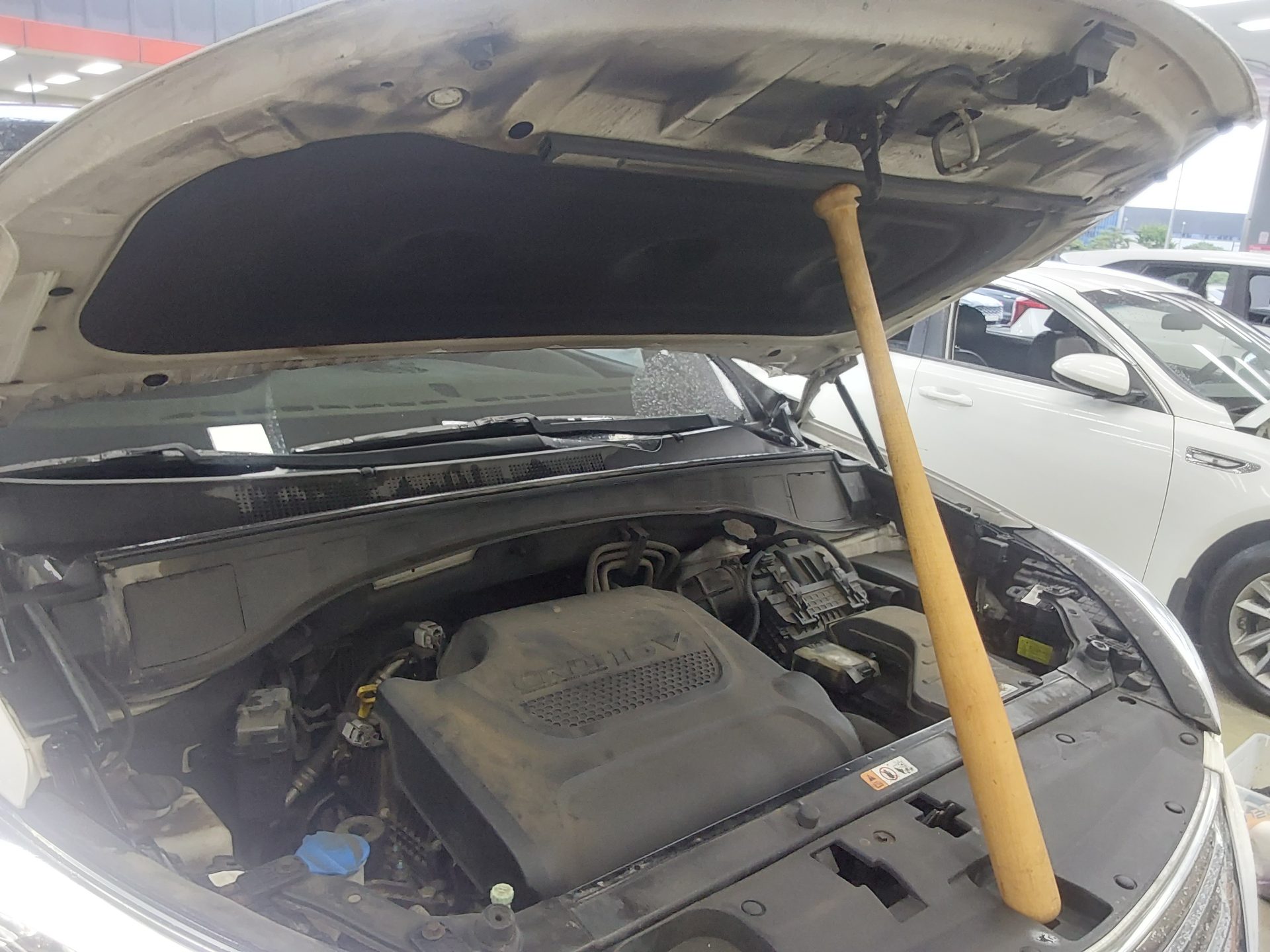 2014 - hyundai maxcruz