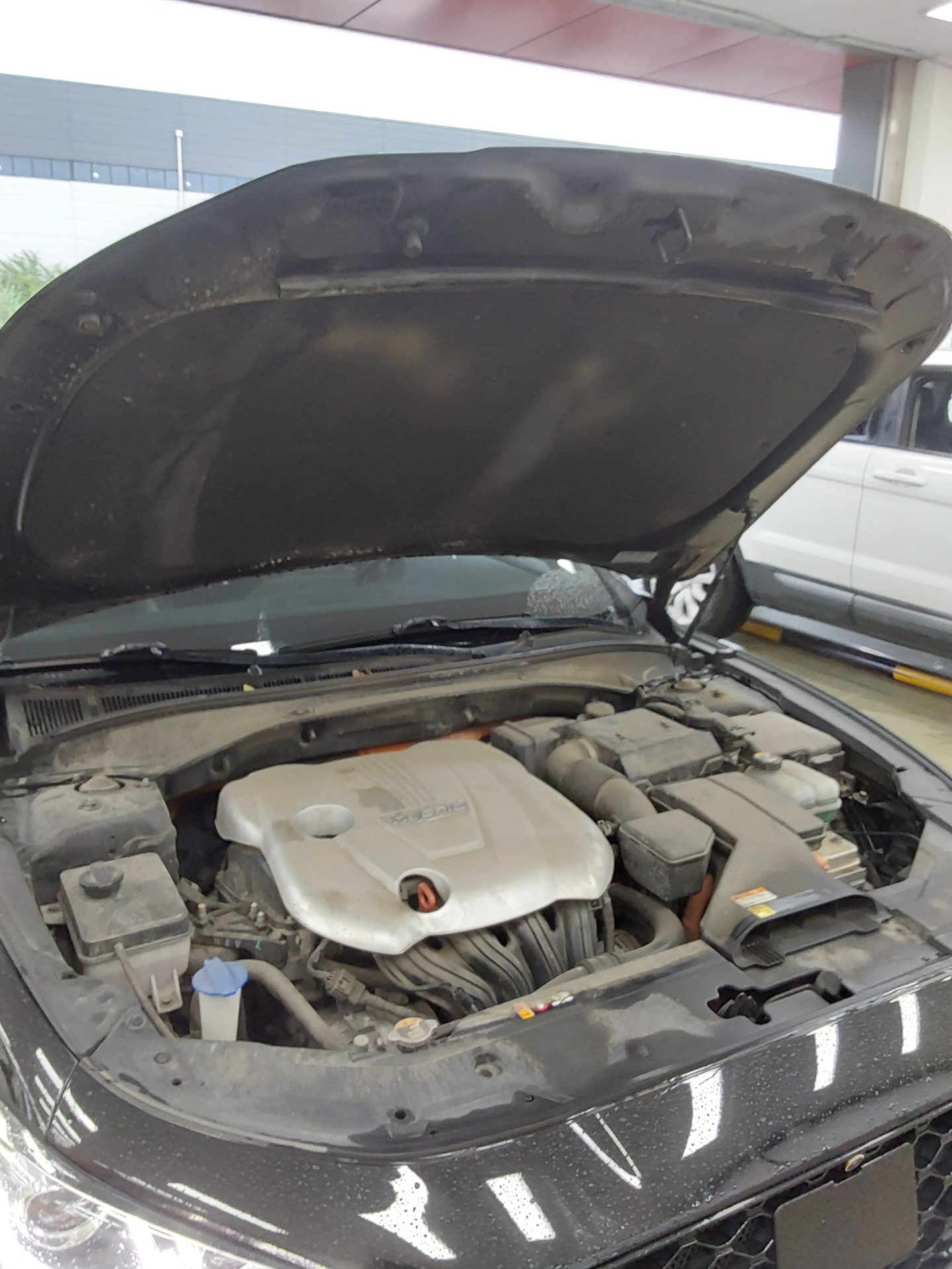 2019 - hyundai grandeur