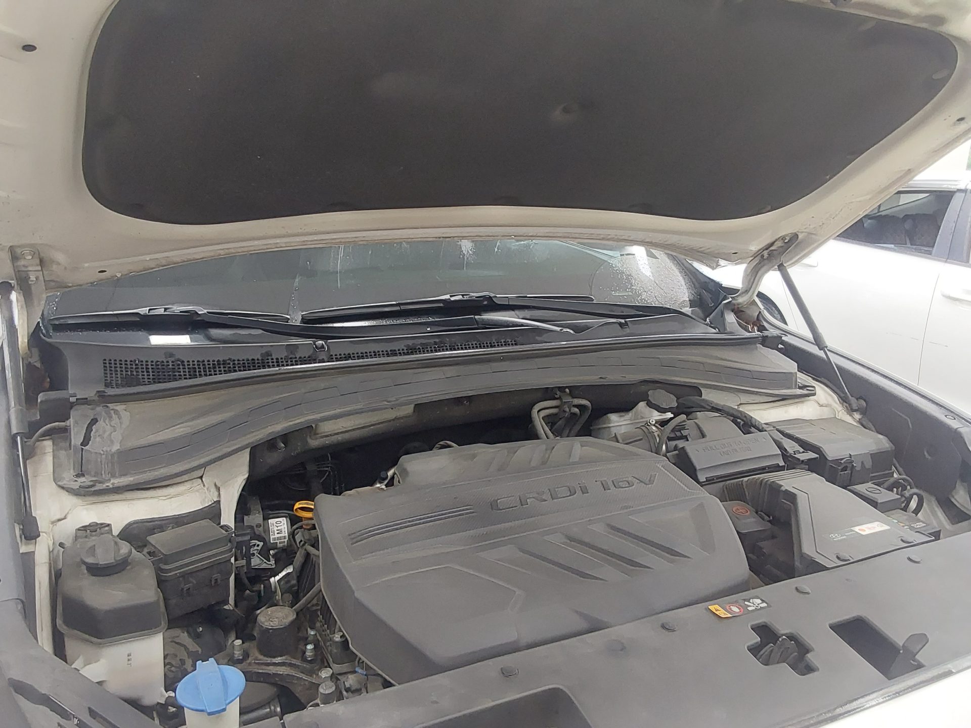 2019 - hyundai santa fe