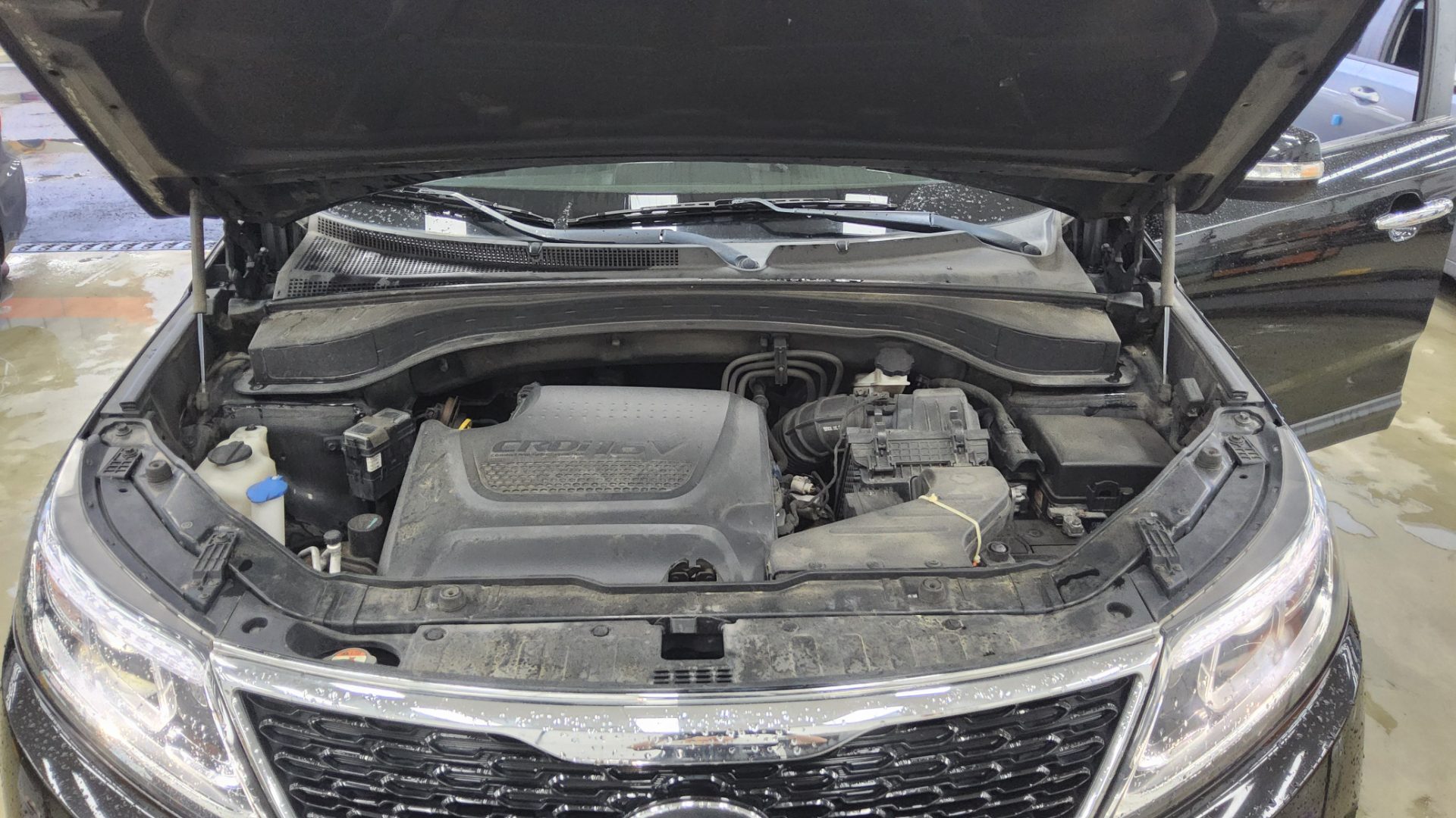2014 - kia sorento