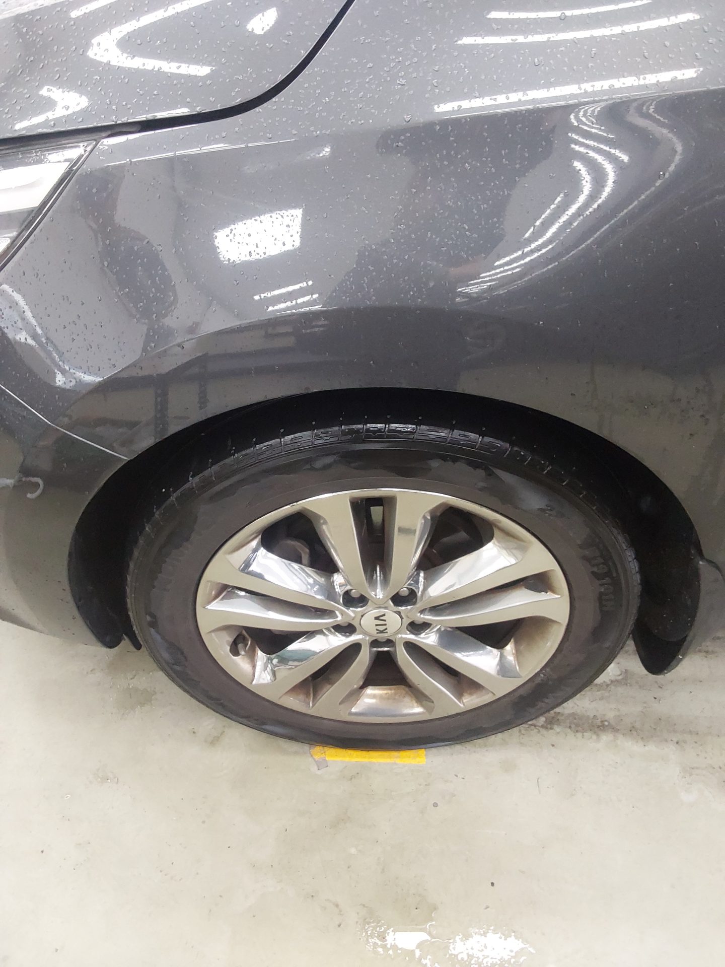 2017 - kia carnival